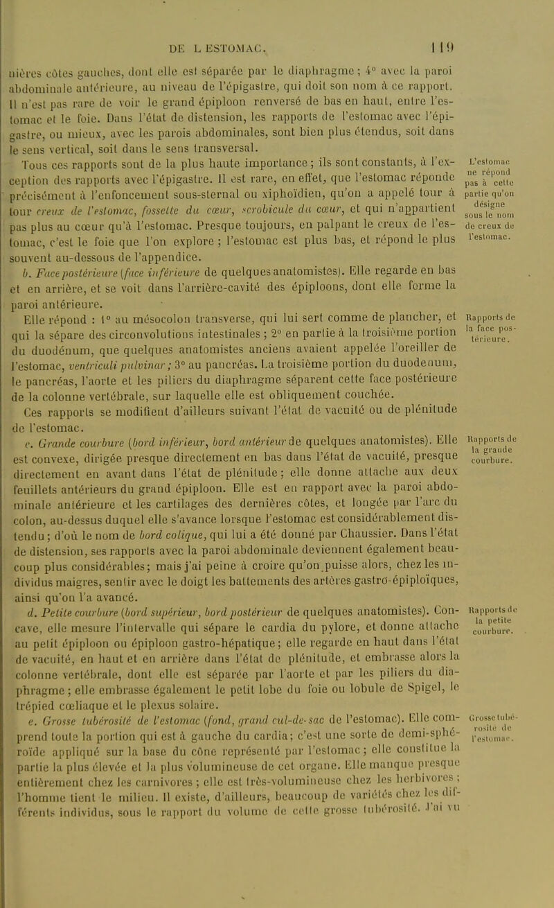 iiiùros côtes gauches, dont elle est séparée par le tliapliragme ; 4 avec la paroi abdominale antcH-ieiire, au niveau de l'épigaslrc, qui doit son nom à ce rapport. Il n'est pas rare de voir le grand épiploon renversé de bas en haut, entre l'es- tomac et le foie. Dans l'état de distension, les rapports de l'eslomac avec l'épi- gaslrc, ou mieux, avec les parois abdominales, sont bien plus étendus, soit dans le sens vertical, soit dans le sens transversal. Tous ces rapports sont de la plus haute importance ; ils sont constants, à l'ex- i>siomac ception dos rapports avec l'épigastre. 11 est rare, en efl'et, que l'estomac réponde ^^^^ l^^Zt précisément à l'enfoncement sous-sternal ou .xiphoïdien, qu'on a appelé tour à paitie qu'on tour creux de l'estomac, fossette du cœur, .^crobicule du cœur, et qui n'appartient ^Jf|'f)f^,„ pas plus au cœur qu'à l'estomac. Presque toujours, en palpant le creux de l'es- de creux du lomac, c'est le foie que l'on explore ; l'estomac est plus bas, et répond le plus l'esiomac. souvent au-dessous de l'appendice. b. Face postérieure (face inférieure de quelques anatomistes). Elle regarde en bas et en arrière, et se voit dans l'arrière-cavité des épiploons, dont elle forme la paroi antérieure. Elle répond : 1° au mésocolon transverse, qui lui sert comme de plancher, et Rapports de qui la sépare des circonvolutions intestinales ; 2 en partie à la Iroisii-uie portion ^J^^^J^' du duodénum, que quelques anatomistes anciens avaient appelée l'oreiller de l'estomac, venlriculi pulvinur ; 3 au pancréas. La troisième portion du duodénum, le pancréas, l'aorte et les piliers du diaphragme séparent cette face postérieure de la colonne vertébrale, sur laquelle elle est obliquement couchée. Ces rapports se modifient d'ailleurs suivant l'état de vacuité ou de plénitude de l'estomac. ('. Grande courbure (bord inférieur, bord antérieur âe quelques anatomistes). Elle Uapporude est convexe, dirigée presque directement en bas dans l'état de vacuité, presque ,,oi„.|,u,.e. directement en avant dans l'état de plénitude ; elle donne attaclie aux deux feuillets antérieurs du grand épiploon. Elle est en rapport avec la paroi abdo- minale antérieure et les cartilages des dernières côtes, et longée par l'arc du colon, au-dessus duquel elle s'avance lorsque l'estomac est considérablement dis- tendu ; d'où le nom de bord colique, qui lui a été donné par Chaussier. Dans l'état de distension, ses rapports avec la paroi abdominale deviennent également beau- coup plus considérables; mais j'ai peine k croire qu'on puisse alors, chez les m- dividus maigres, sentir avec le doigt les battements des artères gastrO-épiploïques, ainsi qu'on l'a avancé. d. Petite courbure {bord supérieur, bord postérieur de quelques anatomistes). Cou- Rapports d. cave, elle mesure l'inlervallc qui sépare le cardia du pylore, et donne attache J„|?|^„,.p. au petit épiploon ou épiploon gastro-hépatique; elle regarde en haut dans l'étal de vacuité, en haut et en arrière dans l'étal de plénitude, et embrasse alors la colonne vertébrale, dont elle est séparée par l'aorte et par les piliers du dia- phragme ; elle embrasse également le petit lobe du foie ou lobule de Spigel, le trépied cœliaque et le plexus solaire. e. Grosse lubérosilé de l'estomac (fond, grand cul-de-sac de l'estomac). Elle corn- crossctubè prend toute la portion qui est à gauche du cardia; c'e4 une sorte de derai-sphé- pg*,'^';,,^,. roïdc appliqué sur la base du cône représenté par l'estomac; elle constitue la partie la plus élevée et la plus volumineuse de cet organe. Elle manque presque entièrement chez les carnivores ; elle est très-volumiiieuse chez les herbivores ; l'homme lient le milieu. 11 existe, d'ailleurs, beaucoup de variétés chez les dif- férents individus, sous le rapport du volume de cette grosse lubérosilé. l'ai vu