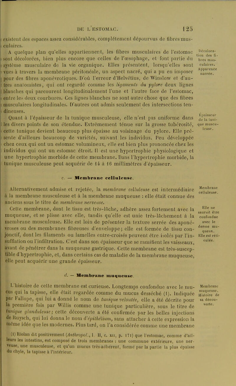 existent des espaces assez considérables, complètement dépourvus de fibres mus- culaires. A quelque plan qu'elles appartiennent, les fibres musculaires de l'estomac '^«colora- tiou des fî* sont décolorées, bien plus encore que celles de l'œsopbage, et font partie du bies mus- système musculaire do la vie organique. Elles présentent, lorsqu'elles sont cuiaiies. vues à travers la membrane péritonéale, un aspect nacré, qui a pu en imposer '^,^acrée.'^^ i pour des fibres aponévrotiques. D'où l'erreur d'Helvétius, de Winslow et d'au- ! très analoniistes, qui ont regardé conmie les ligaments du pylore deux lignes i blanches qui parcourent longitudinalement l'une et l'autre face de l'estomac, entre les deux courbures. Ces lignes blanches ne sont autre chose que des fibres musculaires longitudinales. D'autres ont admis seulement des intersections ten- dineuses. Quant à l'épaisseur de la tunique musculeuse, elle n'est pas uniforme dans doiatuni- 1 les divers points de son étendue. Extrêmement ténue sur la grosse tubérosité, que muscu- cette tunique devient beaucoup plus épaisse au voisinage du pylore. Elle pré- sente d'ailleurs beaucoup de variétés, suivant les individus. Peu développée chez ceux qui ont un estomac volumineux, elle est bien plus prononcée chez les individus qui ont un estomac étroit. Il est une hypertrophie physiologique et une hypertrophie morbide de cette membrane. Dans l'hypertrophie morbide, la tunique musculeuse peut acquérir de 14 à 16 millimètres d'épaisseur. leuse. c. — llembrane cellnlense. Alternativement admise et reietée, la membrane celluleuse est intermédiaire '^f')'^^ •* ' celluleuse. a la membrane musculeuse et à la membrane muqueuse : elle était connue des anciens sous le litre de membrane nerveuse. Cette membrane, dont le tissu est très-lTiche, adhère assez fortement avec la ^^ , ,. 11 . T 11, saurait elre muqueuse, et se plisse avec elle, tandis qu elle est unie très-lâchement à la confondue membrane musculeuse. Elle est loin de présenter la texture serrée des aponé- a^e^ le vroses ou des membranes fibreuses d'enveloppe; elle est formée de tissu con- '''ueu^' jonclif, dont les filaments ou lamelles entre-croisés peuvent être isolés par l'in- Elle est réti sufflation ou l'infiltration. C'est dans son épaisseur que se ramifient les vaisseaux, avant de pénétrer dans la muqueuse gastrique. Cette membrane est très-suscep- lible d'hypertrophie, et, dans certains cas de maladie de la membrane muqueuse, elle peut acquérir une grande épaisseur. cl. — llembrane muqueuse. L'histoire de cette membrane est curieuse. Longtemps confondue avec le mu- Membrane eus qui la tapisse, elle était regardée comme du mucus desséché (i). Indiquée Hisioîrrdc par Fallope, qui lui a donné le nom de tunique veloutée, elle a été décrite pour «a décou- la première fois par Willis comme une tunique particulière, sous le titre de tunique glanduleuse; cette découverte a été confirmée par les belles injections de Uuysch, qui lui donna le nom iVé[nthélium, sans attacher à cette expression la même idée que les modernes. Plus tard, on l'a considérée comme une membrane (l)Riolan dit positivement (/l/î</iropo/., 1. Il, c. xii, p. 171) que l'estomac, comme d'ail- leurs les intestins, est composé de trois membranes : une commune extérieure, une ner- veuse, une musculeuse, et qu'un mucus très adliérenl, formé par la partie la plus épaisse du cliyle, la tapisse à l'intérieur.