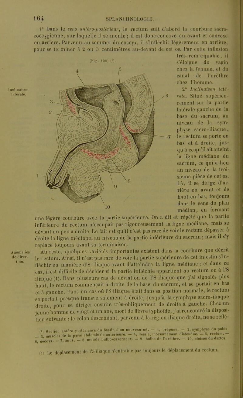 lacliiiiilsiiii li(t(>riili'. Anomalies de direc- tion. 1 Dans le sens (inlcro-jiosléricur, le rectum suit d'abord la courbure sacro- coccygionne, sur laquelle il se moule; il est doncconcave en avant et convexe en arrière. Parvenu au sommet du coccyx, il s'infléchil légùiemenl en arrière, pour se terminer !\ 2 ou 3 centimètres au-devant de cet os. i'ar celte inflexion très-remarquable, il (Kiff. 102) (•). s'éloigne du vagin chez la Icnime, et du canal • de l'urétine chez l'homme. 2° litcUnaison luté ■ nilc. Situé supérieu- rement sur la partie latérale gauche de la base du sacrum, au niveau de la sym- physe sacro-iliaque, le rectum se porte en bas et à droite, jus- qu'à ce qu'il ait atteint la ligne médiane du sacrum, ce qui a lieu au niveau de la troi- sième pièce de cet os. Là, il se dirige d'ar- rière en avant et de haut en bas, toujours dans le sens du plan médian, en formant une légère courbure avec la partie supérieure. On a dit et répété que la partie inférieure du rectum n'occupait pas rigoureusement la ligne médiane, mais se déviait un peu à droite. Le fait est qu'il n'est pas rare de voirie rectum dépasser à droite la ligne médiane, au niveau de la partie inférieure du sacrum ; mais il s'y replace toujours avant sa terminaison. Au reste, quelques variétés importantes existent dans la courbure que décrit le rectum. Ainsi, il n'est pas rare de voir la partie supérieure de cet inteslin s'in- fléchir en manière d'S iliaque avant d'atteindre la ligne médiane ; et dans ce cas, il est difficile de décider si la partie infléchie appartient au rectum ou à l'S iliaque (1). Dans plusieurs cas de déviation de l'S iliaque que j'ai signalés plus haut, le rectum commençait à droite de la base du sacrum, et se portait en bas et à gauche. Dans un cas où l'S iliaque était dans sa position normale, le rectum se portait presque transversalement à droite, jusqu'à la symphyse sacro-iliaque droite, pour se dirigei' ensuite très-obliquement de droite à gauche. Chez un jeune homme de vingt et un ans, mort do fièvre typhoïde, j'ai rencontré la disposi- tion suivante : le colon descendant, parvenu à la région iliaque droite, ne se réflé- (») Scclion aiiiéro-postoriiMirc du bassin d'un nouveau-né. - 1, prépuce. — 2, symphyse du pubis. _ 3 muscles de la paroi nbdominale anicricurc. — 4, vessie, moyenncmcnl distendue. — 5, rectum. — fi coccyx. - 7, nnu9. — 8, muscle bulbo-cavcrneux. - 9, bulbe de rurcthrc. — 10, cloison du dattos. (Il Le. ilrplac.cinciil de l'S iliaque n'ciitraiiic p:i8 toujours le (Icplaccmcnt du rectum.