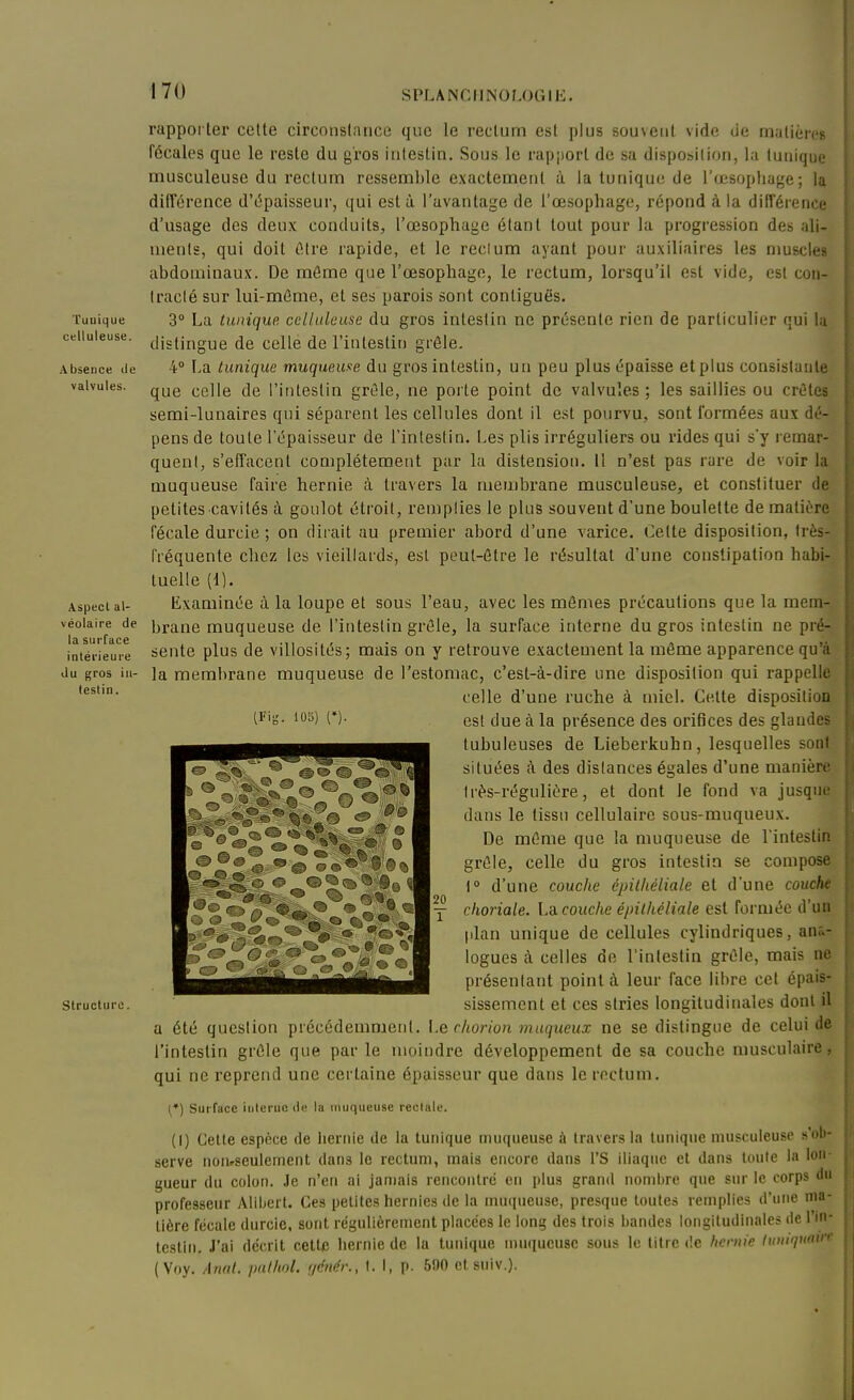 I7U SPLANCIINOLOGIE. Tunique celluleuse. Absence de valvules. Aspect al- véolaire de la surface intérieure du gros iu- teslin. Structure. rapporter cette circonslaiice que le rectum est plus souvent vide de matièix's fécales que le reste du gros intestin. Sous le rapjjort de sa disposition, la tunique musculeuse du rectum ressemble exactement à la tunique de l'œsophage; la difTérence d'c^paisseur, qui esta l'avantage de l'œsophage, répond à la différence d'usage des deux conduits, l'œsophage étant tout pour la progression des ali- ments, qui doit être rapide, et le reclum ayant pour au.viliaires les muscles abdominaux. De môme que l'œsophage, le rectum, lorsqu'il est vide, est con- Iraclé sur lui-même, et ses parois sont contiguës. 3° La tunique celluleuse du gros intestin ne présente rien de particulier qui la distingue de celle de l'intestin grôle. 4° La tunique muqueuae du gros intestin, un peu plus épaisse et plus consistante que celle de l'intestin grûle, ne porte point de valvules; les saillies ou crêtes semi-lunaires qui séparent les cellules dont il est pourvu, sont formées aux dé- pens de toute l'épaisseur de l'inlestin. Les plis irréguliers ou rides qui sy remar- quent, s'effacent complètement pur la distension. Il n'est pas rare de voir la muqueuse faire hernie à travers la membrane musculeuse, et constituer de petites cavités à goulot étroit, remplies le plus souvent d'une boulette de matière fécale durcie ; on dirait au premier abord d'une varice. Cette disposition, très- fréquente chez les vieillards, est peut-être le résultat d'une constipation habi- tuelle (1). Examinée à la loupe et sous l'eau, avec les mômes précautions que la mem- brane muqueuse de l'intestin grôle, la surface interne du gros intestin ne pré^ sente plus de villosités; mais on y retrouve exactement la môme apparence qu'à la membrane muqueuse de l'estomac, c'est-à-dire une disposition qui rappelle celle d'une ruche à miel. Cette disposition est due à la présence des orifices des glandes tubuieuses de Lieberkuhn, lesquelles sont situées h des dislances égales d'une manière Irés-réguliére, et dont le fond va jusque dans le tissu cellulaire sous-muqueux. De môme que la muqueuse de l'intestin grôle, celle du gros intestin se compose 1 d'une couche épilhéliale et d'une couche choriale. La. couc/ie épilhéliale est formée d'un plan unique de cellules cylindriques, ana- logues à celles de l'intestin grôle, mais ne présentant point à leur face libre cet épais- sissement et ces stries longitudinales dont il a été question précédemment, l.echorion muqueux ne se distingue de celui de l'intestin grôle que parle moindre développement de sa couche musculaire, qui ne reprend une certaine épaisseur que dans le rectum. [*) Surface inlerun diî la iTiuqueuse rectale. (I) Cette espèce de lieriiie de la tunique muqueuse à travers la tunique musculeuse s'ob- serve noiuseulemetit dans le rectum, mais encore dans l'S iliaque et dans Unité la lon- gueur du colon. .le n'en ai jamais rencontre en plus grand nomltre que sur le corps du professeur Aliljcrt. Ces petites hernies de la muqueuse, presque toutes remplies d'une ma- tière fécale durcie, sont régulièrement placées le long des trois bandes longitudinales «le l'in- testin. J'ai décrit cette hernie de la tunique muqueuse sous le titre t!c /wniie lunupinv' (Voy. Ami. iiathol. i/énér., t. I, p. 590 et suiv.). IFi;;. 105) (»)