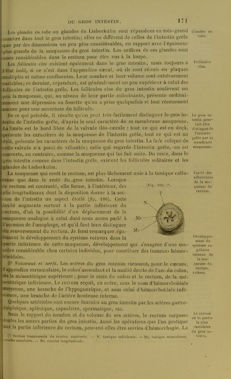 17 J Les (jlandes en tube ou glandes de Lieberkubn i-ont répandues eu très-grand luinbre dans tout ie gros intestin; elles ne diffùi'cnt de celles de l'intestin grûlc [lie par des dimensions un peu plus considérables, en rapport avec l'épaisseur lUis grande de la muqueuse du gros intestin. Les orifices île ces glandes sont i,-;ez considérables dans le rectum pour être vus à la loupe. Les follicules clos existent également dans le gros intestin, mais toujours à I élat isolé, si ce n'est dans l'appendice caecal, où ils sont réunis en plaques liiuliiples et inéme confluentes. Leur nombre et leur volume sont extrêmement variables; ce dernier, cependant, est généralonient un peu supérieur à celui des iVillicules de l'intestin grêle. Les follicules clos du gros intestin soulèvent un [,eu la muqueuse, qui, au niveau de leur partie culminante, présente ordinai- rement une dépression ou fossette qu'on a prise quelquefois et tout récemment encore pour une ouverture du follicule. De ce qui précède, il résulte qu'on peut très-facilement distinguer le gros in- lestin de l'intestin grêle, d'après le seul caractère de sa membrane muqueuse. La limite est le bord libre de la valvule iléo-csecale : tout ce qui est en deçà, présente les caractères de la muqueuse de l'intestin grêle, tout ce qui est au delà, présente les caractères delà muqueuse du gros intestin. La face colique de tcette valvule n'a point de villosités; celle qui regarde l'intestin grêle, en est couverte, au contraire, comme la muqueuse qui lui fait suite. Du reste, dans le gros intestin comme dans l'intestin grêle, exislent les follicules solilaires et les glandes de Liebeikubn. La nmqueuse qui revêt le rectum, est plus lâchement unie à la tunique cellu- eleuse que dans le reste du.gros intestin. Lorsque ele rectum est contracté, elle forme, à l'intérieur, des plis longitudinaux dont la disposition donne à la sec- nion de l'intestin un aspect étoilé (fig. 106). Celte laxilé augmente surtout à la partie inférieure du ifectum, d'où la possibilité d'un déplacement de la muqueuse analogue à celui dont nous avons parlé à roccasion de l'œsopbage, et qu'il faut bien distinguer du renversement du rectum. Je ferai remarquer éga- lement le développement du système veineux dans la ■partie inférieure de cette muqueuse, développement qui s'exagère d'une ma- nière considérable chez certains individus, pour consliluer des tumeurs hémor- irhoïdales. 5° Vaisseaux el nerfs. Les artères du gros inteslin viennent, pour le ciecum, i'appendice verniiculaire, le colon ascendant et la moitié droite de l'arc du colon, delà mésentérique supérieure ; pour le reste du colon et le rectum, de la mé- ^sentérique inférieure. Le rectum reçoit, en outre, sous le nom d'hémorrlioïdale moyenne, une branche de l'hypogaslrique, et sous celui d'héraorrhoïdale infé- l'ieurc, une branche de l'artère honteuse interne. Quelques arlérioles sont encore fournit-s au gros intestin par les artères gastro- épiploique, spléiiique, capsulaire, spcrmalique, etc. Sous le rapport du nombre et du volume de ses artères, le rectum surpasse toutes les autres parties du gros intestin. Aussi les opérations que l'on pratique ^lu' la partie inférieure du rectum, peuvent-elles être suivies d'hémorrhagic. La ') Section Iraiisversule du rfcluin coulriiclé. - N, tunii|uc celluleuse. — Me, Umiijue uuisciilense, •Me aiiuiilaire. — Me, couche luiigituditiulir. Glaudes tube. KoUicules clos. Le fçi'os iu- Icstiu pour- rait être distingué de Tinte sliri grêle par sa membrane muqueuse. Laxité des adhérences de la mu- queuse du rectum. Développe- ment du système ca- pillaire veineux de la mu- queuse du rectum. Artères. Le rectum est la partie In plus >a$culaire du gros in- testin. V