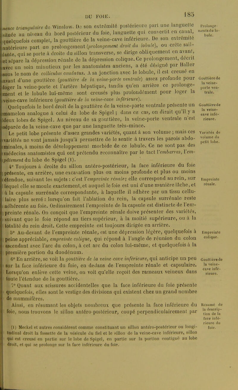 ncnce trianrjHhiire de Winslow. I)j son extri5mité poslérieuro pari une languette qluée au niveau du bord poslérieui- du foie, languette qui convertit en canal, luelquefois complet, la gouttière de la veine-cave inférieure. De son extrémité Ultérieure part un i)ro\nn§cment {prolongement droit du lobule), ou crûle sail- :ante, qui se porte à droite du sillon transverse, se dirige obliquement en avant, el sépare la dépression rénale de la dépression colique. Ce prolongement, décrit avec un soin minutieux par les anatomistes anciens, a été désigné par Haller 3()us le nom de colliculm caudntus. A sa jonction avec le lobule, il est creusé en :i-,ant d'une gouttière {gouttière de la veine-porte ventrale) assez profonde pour loger la veine-porte et l'artère hépatique, tandis qu'en arrière ce prolonge- ment et le lobule lui-même sont creusés plus profondément pour loger la \eine-cave inférieure {gouttière de la veine-cave inférieure). Quelquefois le bord droit de la gouttière de la veine-porte ventrale présente un mamelon analogue à celui du lobe de Spigel ; dans ce cas, on dirait qu'il y a doux lobes de Spigel. Au niveau de sa gouttière, la veine-porte ventrale n'est séparée de la veine-cave que par une languette très-mince. Le petit lobe présente d'assez grandes variétés, quant à son volume; mais ces variétés ne vont jamais jusqu'à permettre de le sentir à travers les parois abdo- minales, à moins de développement moibide de ce lobule. Ce ne sont pas des médecins anatomistes qui ont prétendu reconnaître par le tact l'embarras, Vem- itement du lobe de Spigel (1). 4° Toujours à droite du sillon antéro-postérieur, la face inférieure du foie [trésente, en arrière, une excavation plus ou moins profonde et plus ou moins étendue, suivant les sujets : c'est Vempreinte rénale; elle correspond au rein, sur lequel elle se moule exactement, et auquel le foie est uni d'une manière lâche, et à la capsule surrénale correspondante, à laquelle il adhère par un tissu cellu- laire plus serré : lorsqu'on fait l'ablation du rein, la capsule surrénale reste adhérente au foie. Ordinairement l'empreinte de la capsule est distincte de l'em- preinte rénale. On conçoit que l'empreinte rénale doive présenter des variétés, suivant que le foie répond au tiers supérieur, à la moitié supérieure, ou à la totalité du rein droit. Cette empreinte est toujours dirigée en arrière. 5° Au-devant de l'empreinte rénale, est une dépression légère, quelquefois à peine appréciable, empreinte colique, qui répond à l'angle de réunion du colon ascendant avec l'arc du colon, à cet arc du colon lui-même, et quelquefois lÎ la première portion du duodénum. 6° En arrière, se voit la gouttière de la veine cave inférieure, qui anticipe un peu s sur la face inférieure du foie, en dedans de l'empreinte rénale et capsulaire. Lorsqu'on enlève cette veine, on voit qu'elle reçoit des rameaux veineux dans loule l'étendue de la gouttière. Quant aux scissures accidentelles que la face inférieure du foie présente quelquefois, elles sont le vestige des divisions qui existent chez un grand nombre de mammifères. Ainsi, en résumant les objets nombreux que présente la face inférieure du foie, nous trouvons le sillon antéro-postérieur, coupé perpendiculairement par (I) Meckel et autres considèrent comme constituant un sillon antéro-postérieur ou longi- tudinal droit la fossette de la vésicule du flel et le sillon de la veine-cave inférieure, sillon qui est creusé en partie sur le lol)e de Spigel^ en partie sur In portion contisuo au lobe droit, et qui pe prolonge sur la face inférieure du foie. iiicntsdu lo- l)ule. Gouttière de la veine- porte ven- trale. Gouttièrede la veine- cave infé- rieure. Variétés de volume du petit lobe. Empreinte rénale. Empreinte colique. Gouttière de la veine- cave infé- rieure. Résumé de la descrip- tion de la face infé- rieure du foie.