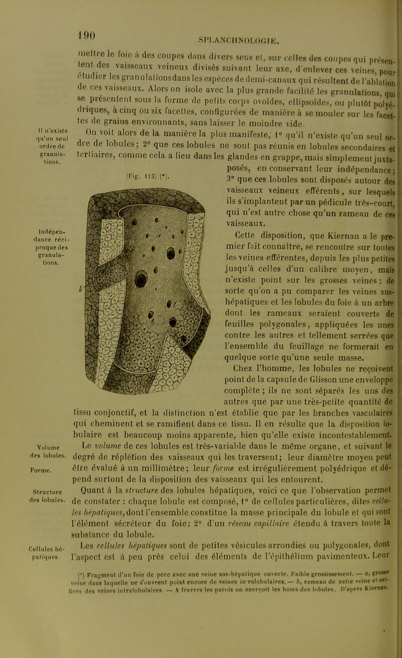 Il n'existe qu'un seul ordre de granula- tions. Indépen- dance réci- proque des granula- tions. Volume des lobules. Forme. Structure des lobules. Cellules hé- patiques. SI'LANCHNOLOGIK. nielti-e le foie i\ des coupes dans divers sens el, sur celles des coupes qui pn'sen i lent des vaisseaux veineux divisés suivant leur axe, d'enlever ces veines pour Uudier les granulalionsdans les espèces de demi-canaux qui résultent de l'ab'lalion de CCS vaisseaux. Alors on isole avec la plus grande facilité les gr.-mulalions quil se présentent sous la forme de petits coips ovoïdes, ellipsoïdes, ou plutôt poly^..: driques, à cinq ou six facéties, configurées de manière à se mouler sur les facet-i tes de grains environnants, sans laisser le moindre vide. On voit alors de la manière la plus manifeste, 1» qu'il n'existe qu'un seul or-; dre de lobules; 2° que ces lobules ne sont pas réunis en lobules secondaires eti lorliaires, comme cela a lieu dans les glandes en grappe, mais simplement juxta- ! posés, en conservant leur indépendance; i 3» que ces lobules sont disposés autour des i vaisseaux veineux efférents, sur lesquels! ils s'implantent par un pédicule très-court,, qui n'est autre chose qu'un rameau de ces! vaisseaux. Cette disposition, que Kiernan a le pre- : mier fnit connaître, se rencontre sur toutes i les veines efférentes, depuis les plus petites , jusqu'à celles d'un calibre moyen, mais, n'existe point sur les grosses veines ; de sorte qu'on a pu comparer les veines sus- hépatiques et les lobules du foie à un arbrp dont les rameaux seraient couverts de feuilles polygonales, appliquées les unes contre les autres et tellement serrées que l'ensemble du feuillage ne formerait en quelque sorte qu'une seule masse. Chez l'homme, les lobules ne reçoivent point de la capsule de Glisson une enveloppe complète ; ils ne sont séparés les uns des autres que par une très-petite quantité de tissu conjonctif, et la distinction n'est établie que par les branches vasculaires ; qui cheminent et se ramifient dans ce tissu. 11 en résulte que la disposition lo- bulaire est beaucoup moins apparente, bien qu'elle existe incontestablement. Le volume de ces lobules est très-vaiiable dans le même organe, et suivant le ' degré de réplétion des vaisseaux qui les traversent; leur diamètre moyen peut être évalué à un millimètre; \cm forme est irrégulièrement polyédrique et dé- ; pend surtout de la disposition des vaisseaux qui les entourent. : Quant à la s^rudure des lobules hépatiques, voici ce que l'observation permet de constater : chaque lobule est composé, i° de cellules particulières, dites cellu- les hépatiques, dont l'ensemble constitue la masse principale du lobule et qui sont l'élément sécréteur du foie; 2 d'un réseau capillaire étendu à travers toute la substance du lobule. Les cellules hépatiques sont de petites vésicules arrondies ou polygonales, dont l'aspect est à peu près celui des éléments de l'épithélium pavimenleux. Leur (•) Fragment d'un foie de porc avec une veine sus-hépntique ouverte. Faible grossissement. — fl, proste veine dans laquelle ne s'ouvrent point encore de veines in'ralobulaires. — h, rameau de celle veine cl ori- fices des veines Introlobulaires. — K travers les parois on aperçoit les bases des lobules. Il'aprés Kicrnan.