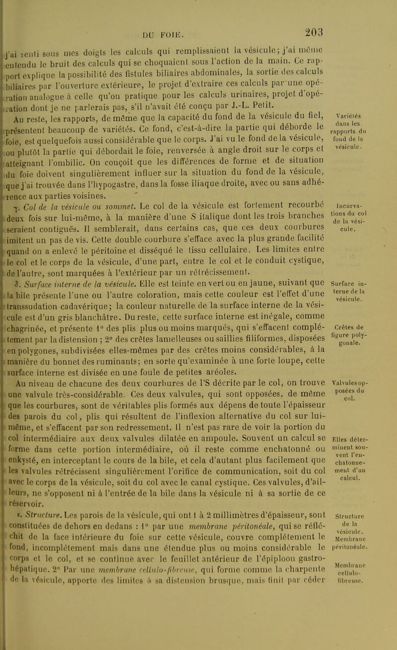 j ai setilisous mes doigls les calculs qui remplissaient la vésicule; j'ai mûiiic oulendu le bruit des calculs qui se choquaient sous l'action de la main. Ce rap- Mort explique la possibilité des fistules biliaires abdominales, la sortie des calculs inliaircs par l'ouverture extérieure, le projet d'extraire ces calculs par une opé- ition analogue à celle qu'on pratique pour les calculs urinaires, projet d'opé- .ation dont je ne parlerais pas, s'il n'avait été conçu par J.-L. Pelit. Au reste, les rapports, de même que la capacité du fond de la vésicule du fiel, présentent beaucoup de variétés. Ce fond, c'est-à-dire la partie qui déborde le loie, est quelquefois aussi considérable que le corps. J'ai vu le fond de la vésicule, ou plutôt la partie qui débordait le foie, renversée à angle droit sur le corps et alteignant l'ombilic. On conçoit que les difTérences de forme et de situation ,lu foie doivent singulièrement influer sur la situation du fond de la vésicule, que j'ai trouvée dans l'hypogastre, dans la fosse iliaque droite, avec ou sans adhé- I iMice aux parties voisines. f. Col de la vésicule ou sommet. Le col de la vésicule est fortement recourbé deux fois sur lui-même, à la manière d'une S italique dont les trois branches seraient contiguës. 11 semblerait, dans certains cas, que ces deux courbures imitent un pas devis. Cette double courbure s'elface avec la plus grande facilité quand on a enlevé le péritoine et disséqué le tissu cellulaire. Les limites entre lê col elle corps de la vésicule, d'une part, entre le col et le conduit cystique, lie l'autre, sont marquées à l'extérieur par un rétrécissement. S. Surface interne de la vésicule. KUe est teinte en vert ou en jaune, suivant que la bile présente l'une ou l'autre coloration, mais cette couleur est l'effet d'une iranssudation cadavérique; la couleur naturelle de la surface interne de la vési- cule est d'un gris blanchâtre. Du reste, cette surface interne est inégale, comme ( hagrinée, et présente 1 des plis plus ou moins marqués, qui s'effacent complé- loment par la distension ; 2° des crêtes lameileuses ou saillies filiformes, disposées en polygones, subdivisées elles-mêmes par des crêtes moins considérables, à la manière du bonnet des ruminants; en sorte qu'examinée à une forte loupe, celte surface interne est divisée en une foule de petites ai'éoles. Au niveau de chacune des deux courbures de l'S décrite par le col, on trouve une valvule très-considérable. Ces deux valvules, qui sont opposées, de même que les courbures, sont de véritables plis formés aux dépens de toute l'épaisseur des parois du col, plis qui résultent de l'inflexion alternative du col sur lui- même, et s'effacent par son redressement. 11 n'est pas rare de voir la portion du I ol intermédiaire aux deux valvules dilatée en ampoule. Souvent un calcul se rme dans cette portion intermédiaire, où il reste comme enchatonné ou ' iikyslé, en interceptant le cours de la bile, et cela d'autant plus facilement que les valvules rétrécissent singulièrement l'orifice de communication, soit du col ■ivec le corps de la vésicule, soit du col avec le canal cystique. Ces valvules, d'ail- leurs, ne s'opposent ni à l'entrée de la bile dans la vésicule ni à sa sortie de ce léservoir. «. Structure. Les parois de la vésicule, qui ont 1 à 2 millimètres d'épaisseur, sont msliluées de dehors en dedans : 1° par une membrane périlonéale, qui se réflé- chit de la face intérieure du foie sur cette vésicule, couvre complètement le lond, incomplètement mais dans une étendue plus ou moins considérable le corps et le col, et se continue avec le feuillet antérieur de l'épiploon gastro- hépalifjuc. 2 Par une membrane cclUUo-fibreuse, qui forme comme la charpente de la vésicule, apporte des limites A sa distension brusque, mais finil par céder Variélés dans les rapports du fond de Ici vésicule. Incurva- tions du col de la vési- cule . Surface in- terne de la vésicule. Crêtes de ligure poly- gonale. Valvules op- posées du cnl. Elles déter- minent sou- vent l'eu- chalonne- ment d'uu calcul. Structure de la vésicule. Mcniljraiie périlonéale. Memlnanr ccllulo- lihreuso.