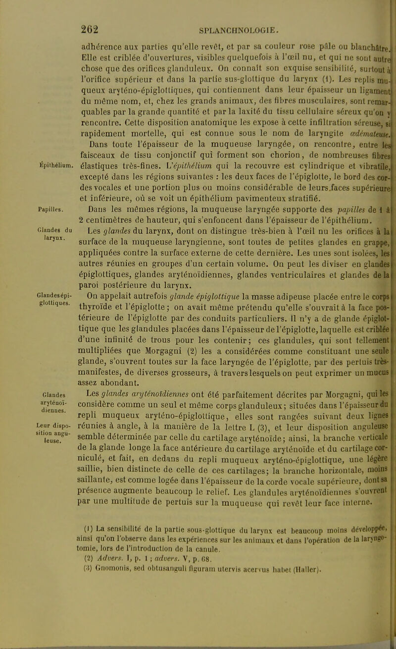 Épiihélium. Papilles. Glandes du larynx. Glandes épi- glottiques. Glandes aryténoï- diennes. Leur dispo- sition angu- leuse. adh(5rence aux parties qu'elle rêvât, et par sa couleur rose pâle ou blanchâtre. Elle est criblée d'ouvertures, visibles quelquefois à l'œil nu, et qui ne sont autre chose que des orifices glanduleux. On connaît son exquise sensibililé, surtout à; l'orifice supérieur et dans la partie sus-gioltique du larynx (1). Les replis mu-; queux aryténo-éplglotliques, qui contiennent dans leur épaisseur un ligamentj du même nom, et, chez les grands animaux, des fibres musculaires, sontremar-: quables par la grande quantité et parla laxité du tissu cellulaire séreux qu'on v rencontre. Cette disposition anatomique les expose à cette infiltration séreuse, 8i| rapidement mortelle, qui est connue sous le nom de laryngite œdémateuses Dans toute l'épaisseur de la muqueuse laryngée, on rencontre, entre iesi faisceaux de tissu conjonclif qui forment son chorion, de nombreuses fibrest élastiques très-fines. L'épithélium qui la recouvre est cylindrique et vibratile,( excepté dans les régions suivantes : les deux faces de l'épiglotte, le bord des cor-j des vocales et une portion plus ou moins considérable de leurs.faces supérieure) et inférieure, où se voit un épiihélium pavimenteux stratifié. Dans les mômes régions, la muqueuse laryngée supporte des papilles de 1 àj 2 centimètres de hauteur, qui s'enfoncent dans l'épaisseur de l'épithélium, ' Les glandes du larynx, dont on distingue très-bien à l'œil nu les orifices à lat surface de la muqueuse laryngienne, sont toutes de petites glandes en grappe,! appliquées contre la surface externe de cette dernière. Les unes sont isolées, les! autres réunies en groupes d'un certain volume. On peut les diviser en glandest épiglottiques, glandes aryténoïdiennes, glandes ventriculaires et glandes dela| paroi postérieure du larynx. On appelait autrefois glande épigloitique la masse adipeuse placée entre le corps I thyroïde et l'épiglotte; on avait môme prétendu qu'elle s'ouvrait à la face pos-i térieure de l'épiglotte par des conduits particuliers, il n'y a de glande épigloi- tique que lesglandules placées dans l'épaisseur de l'épiglotte, laquelle est criblée | d'une infinité de trous pour les contenir; ces glandules, qui sont tellementi multipliées que Morgagni (2) les a considérées comme constituant une seule i glande, s'ouvrent toutes sur la face laryngée de l'épiglotte, par des pertuis très- < manifestes, de diverses grosseurs, à travers lesquels on peut exprimer un mucus ( assez abondant. Les glandes aryténoïdiennes ont été parfaitement décrites par Morgagni, qui les ( considère comme un seul et môme corps glanduleux ; situées dans l'épaisseur du i repli muqueux aryténo-épiglottique, elles sont rangées suivant deux lignes i réunies à angle, à la manière de la lettre L (3), et leur disposition anguleuse semble déterminée par celle du cartilage aryténoïde; ainsi, la branche verticale de la glande longe la face antérieure du cartilage aryténoïde et du cartilage cor- niculé, et fait, en dedans du repli muqueux aryténo-épiglottique, une légère saillie, bien distincte de celle de ces cartilages; la branche horizontale, moins saillante, est comme logée dans l'épaisseur de la corde vocale supérieure, dont sa présence augmente beaucoup le relief. Les glandules aryténoïdiennes s'ouvrent par une multitude de pertuis sur la muqueuse qui revôt leur face interne. (1) La sensibilité de la partie sous-glottique du larynx est beaucoup moins développée, ainsi qu'on l'observe dans les expériences sur les animaux et dans l'opération de la larjngo- tomie, lors de l'introduction de la canule. (2) Advers. 1, p. 1 ; advers. V, p. f>8. GnomoMis, sed oblusanguli ttguram ulervis acervus habet (Haller).