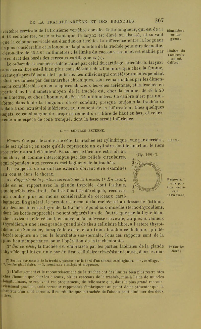 vertèbre cervicale de la troisième vertèbre dorsale. Celte longueur, qui est de H à 13 centiraèires, varie suivant que le larynx est élevé ou abaissé, et suivant que la colonne cervicale est étendue ou fléchie. La différence entre la longueur la plus considérable et la longueur la plus faible de la trachée peut être de moitié, c'est-à-dire de 55 à 6o millimètres : la limite du raccourcissement est établie par le coutact des bords des cerceaux cartilagineux (1). Le calibre delà, trachée est déterminé par celui du cartilage cricoïdedu larynx: I aussi ce calibre est-il bien plus considérable chez l'homme que chez la femme, ; avant qu'après l'époq ue de la puberté. Les individ us qui on t été tourmentés pendant , plusieurs années par des catarrhes chroniques, sont remarquables par les dimen- \ sions considérables qu'ont acquises chez eux les voies aériennes, et la trachée en ' particulier. Le diamètre moyen de la trachée est, chez la femme, de 18 à 20 millimètres, et chez l'homme, de 20 à 24 millimètres. Ce calibre n'est pas uni- forme dans toute la longueur de ce conduit; presque toujours la trachée se |i dilate à son extrémité inférieure, au moment de la bifurcation. Chez quelques sujets, ce canal augmente progressivement de calibre de haut en bas, et repré- sente une espèce de cône tronqué, dont la base serait inférieure. I. — SURFACE EXTERNK. Fitjure. Vue par devant et de côté, la trachée est cylindrique; vue par derrière, elle est aplatie ; en sorte qu'elle représente un cylindre dont le quart ou le tiers (postérieur aurait été enlevé. Sa surface extérieure est rude au toucher, et comme interrompue par des reliefs circulaires, qui répondent aux cerceaux cartilagineux de la trachée. Les rapports de sa surface externe doivent être examinés lau cou et dans le thorax. A. Rapports de la portion cervicale de la trachée. 1° En avant, elle est en rapport avec la glande thyroïde, dont l'isthme, ; quelquefois très-étroit, d'autres fois très-développé, recouvre mn nombre plus ou moins considérable de cerceaux carti- lagineux. En général, le premier cerceau delà trachée est au-dessus de l'isthme. Au-dessous du corps thyroïde, la trachée répond aux muscles sterno-thyroïdiens, : dont les bords rapprochés ne sont séparés l'un de l'autre que par la ligne blan- che cervicale ; elle répond, enouti'e, à l'aponévrose cervicale, au plexus veineux thyroïdien, à une assez grande quantité de tissu cellulaire libre, à l'artère thyroï- . dienne deNeubauer, lorsqu'elle existe, et au tronc brachio-céphalique, qui dé- I borde toujours un peu la fourchette sus-sternale. Tous ces rapports sont de la >plus haute importance pour l'opération de la trachéotomie. 2 Sur les côtés, la trachée est embrassée par les parties latérales de la glande thyroïde, qui lui est unie par du tissu cellulaire très-résistant; aussi, dans les ma- (•) Sectioa horizontale de la trachée, passant par le bord d'un anneau cartilagineux. — 1, cartilage. — 2, couche glandulaire. — 3, membrane élastique et muqueuse. (l) L'allongement et le raccourcissement de la trachée ont des limites bien plus restreintes chez l'homme que chez les oiseaux, où les cerceaux de la trachée, mus à l'aide de muscles ■ longitudinaux, se. reçoivent réciproquement, de telle sorte que, dans le plus grand raccour- cissement possible, trois cerceaux rapprochés s'imbriquent au point de ne [)résenter que la hauteur d'un seul cerceau. Il en résulte que la trachée de l'oiseau peut dimiiuier des deux tiers.