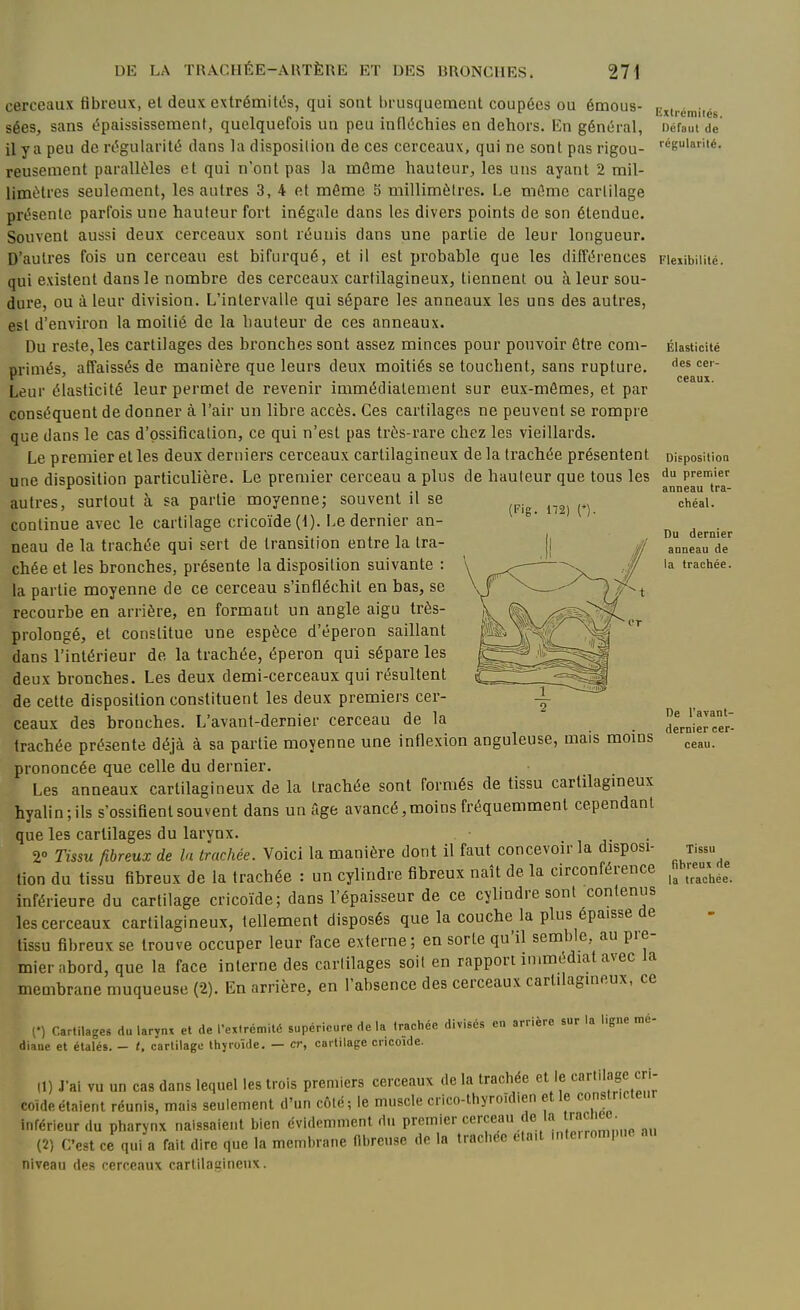 (Fig. 172) n cerceaux fibreux, et deux extrémités, qui sont brusquement coupées ou émous- sées, sans épaississement, quelquefois un peu infléchies en dehors. En général, il y a peu de régularité dans la disposilion de ces cerceaux, qui ne sont pas rigou- reusement parallèles et qui n'ont pas la mâme hauteur, les uns ayant 2 mil- limètres seulement, les autres 3, 4 et môme 5 millimètres. Le môme cartilage présente parfois une hauteur fort inégale dans les divers points de son étendue. Souvent aussi deux cerceaux sont réunis dans une partie de leur longueur. D'autres fois un cerceau est bifurqué, et il est probable que les différences qui existent dans le nombre des cerceaux cartilagineux, tiennent ou à leur sou- dure, ou à leur division. L'intervalle qui sépare les anneaux les uns des autres, est d'environ la moitié de la hauteur de ces anneaux. Du reste, les cartilages des bronches sont assez minces pour pouvoir être com- primés, affaissés de manière que leurs deux moitiés se touchent, sans rupture. Leur élasticité leur permet de revenir immédiatement sur eux-mômes, et par conséquent de donner à l'air un libre accès. Ces cartilages ne peuvent se rompre que dans le cas d'ossification, ce qui n'est pas très-rare chez les vieillards. Le premier et les deux derniers cerceaux cartilagineux delà trachée présentent une disposition particulière. Le premier cerceau a plus de hauteur que tous les autres, surtout à sa partie moyenne; souvent il se continue avec le cartilage cricoïde(l). Le dernier an- neau de la trachée qui sert de transition entre la tra- chée et les bronches, présente la disposition suivante : la partie moyenne de ce cerceau s'infléchit en bas, se recourbe en arrière, en formant un angle aigu très- prolongé, et constitue une espèce d'éperon saillant dans l'intérieur de la trachée, éperon qui sépare les deux bronches. Les deux demi-cerceaux qui résultent de cette disposilion constituent les deux premiers cer- ceaux des bronches. L'avanl-dernier cerceau de la trachée présente déjà à sa partie moyenne une inflexion anguleuse, mais moins prononcée que celle du dernier. Les anneaux cartilagineux de la trachée sont formés de tissu cartilagineux hyalin; ils s'ossifient souvent dans un âge avancé, moins fréquemment cependant que les cartilages du larynx. j- • 2» Tissu fibreux de la trachée. Voici la manière dont il faut concevoir la disposi- tion du tissu fibreux de la trachée : un cylindre fibreux naît de la circonférence inférieure du cartilage cricoïde; dans l'épaisseur de ce cylindre sont contenus les cerceaux cartilagineux, tellement disposés que la couche la plus épaisse de tissu fibreux se trouve occuper leur face externe; en sorte qu'il semble, au pre- mier abord, que la face interne des cartilages soit en rapport immédiat avec la membrane muqueuse (2). En arrière, en l'absence des cerceaux cartilagineux, ce [') Cartilages du larynx et de l'extrémité supérieure de la trachée divisés en arrière sur la ligne mé- diane et étalés. - t, cartilage thyroïde. — cr, cartilage cncoide. Il) J'ai vu un cas dans lequel les trois premiers cerceaux de la trachée et le ca'-'i'-J coide étalent réunis, mais seulement d'un côté; le muscle crico-thyroidien et le constr.cteur inférieur du pharynx naissaient bien évidemment du premier cerceau de la racnec (2) C'est ce qui a fait dire que la membrane fibreuse de la trachée eta.t mte.rompne au niveau des cerceaux carlilacineux. Extrémités. Défaut de régularité. Flexibilité. Élasticité des cer- ceaux. Disposilion du premier anneau tra- chéal. Du dernier anneau de la trachée. De l'avant- dernier cer- ceau. Tissu fibreux de la trachée.