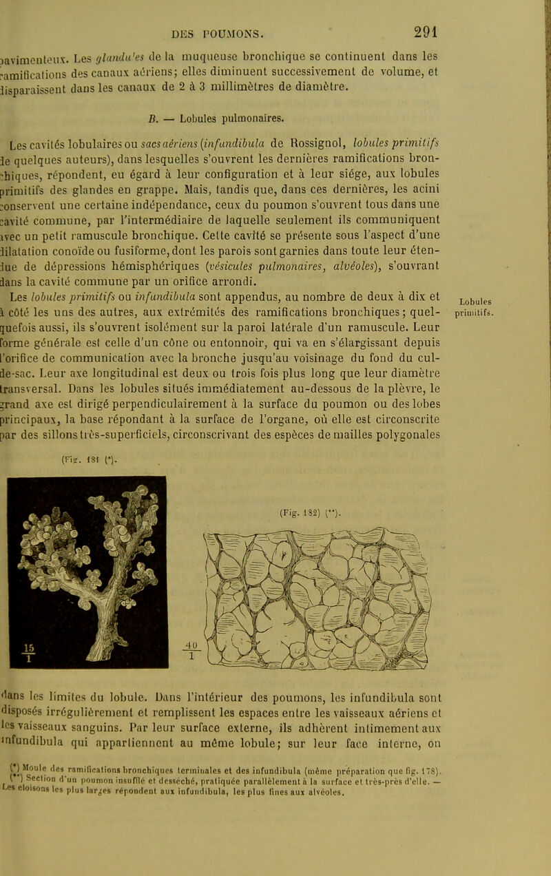 3aviraentoux. Les (jUindu'es do la muqueuse bronchique se continuent dans les amifîcations des canaux aériens; elles diminuent successivement de volume, et lisparaissent dans les canaux de 2 à 3 millimètres de diamètre. B. — Lobules pulmonaires. Les cavités lobulairesou sacsaériens {infundibula de Rossignol, lobules primitifs ie quelques auteurs), dans lesquelles s'ouvrent les dernières ramifications bron- chiques, répondent, eu égard à leur configuration et à leur siège, aux lobules primitifs des glandes en grappe. Mais, tandis que, dans ces dernières, les acini :onservent une certaine indépendance, ceux du poumon s'ouvrent tous dans une cavité commune, par l'intermédiaire de laquelle seulement ils communiquent ivec un petit ramuscule bronchique. Celle cavité se présente sous l'aspect d'une Jilatation conoïdeou fusiforme, dont les parois sont garnies dans toute leur éten- :iue de dépressions hémisphériques (vésicules pulmonaires, alvéoles), s'ouvrant dans la cavité commune par un orifice arrondi. Les lobules primitifs ou infundibula sont appendus, au nombre de deux à dix et Lobules i côté les uns des autres, aux extrémités des ramifications bronchiques; quel- primitifs, ijuefois aussi, ils s'ouvrent isolément sur la paroi latérale d'un ramuscule. Leur forme générale est celle d'un cône ou entonnoir, qui va en s'élargissant depuis l'orifice de communication avec la bronche jusqu'au voisinage du fond du cul- de-sac. Leur axe longitudinal est deux ou trois fois plus long que leur diamètre transversal. Dans les lobules situés immédiatement au-dessous de la plèvre, le ;rand axe est dirigé perpendiculairement à la surface du poumon ou des lobes principaux, la base répondant à la surface de l'organe, où elle est circonscrite par des sillonsIrès-superficiels,circonscrivant des espèces démailles polygonales (Fi?. ISI (*). dans les limites du lobule. Dans l'intérieur des poumons, les infundibula sont disposés irrégulièrement et remplissent les espaces entre les vaisseaux aériens et les vaisseaux sanguins. Parleur surface externe, ils adhèrent intimement aux infundibula qui apparlienncnt au môme lobule; sur leur face interne, on (*) Moule (les ramirications bronchiques terminales et des iafundibula (même préparation que fig. 178). ( ') Section (l'un poumon insuffle et desséché, pratiquée parallèlement à la surface et très-près d'elle. — cloisons les plus lar^'es répondent aux infundibula, les plus lines aux alvéoles.