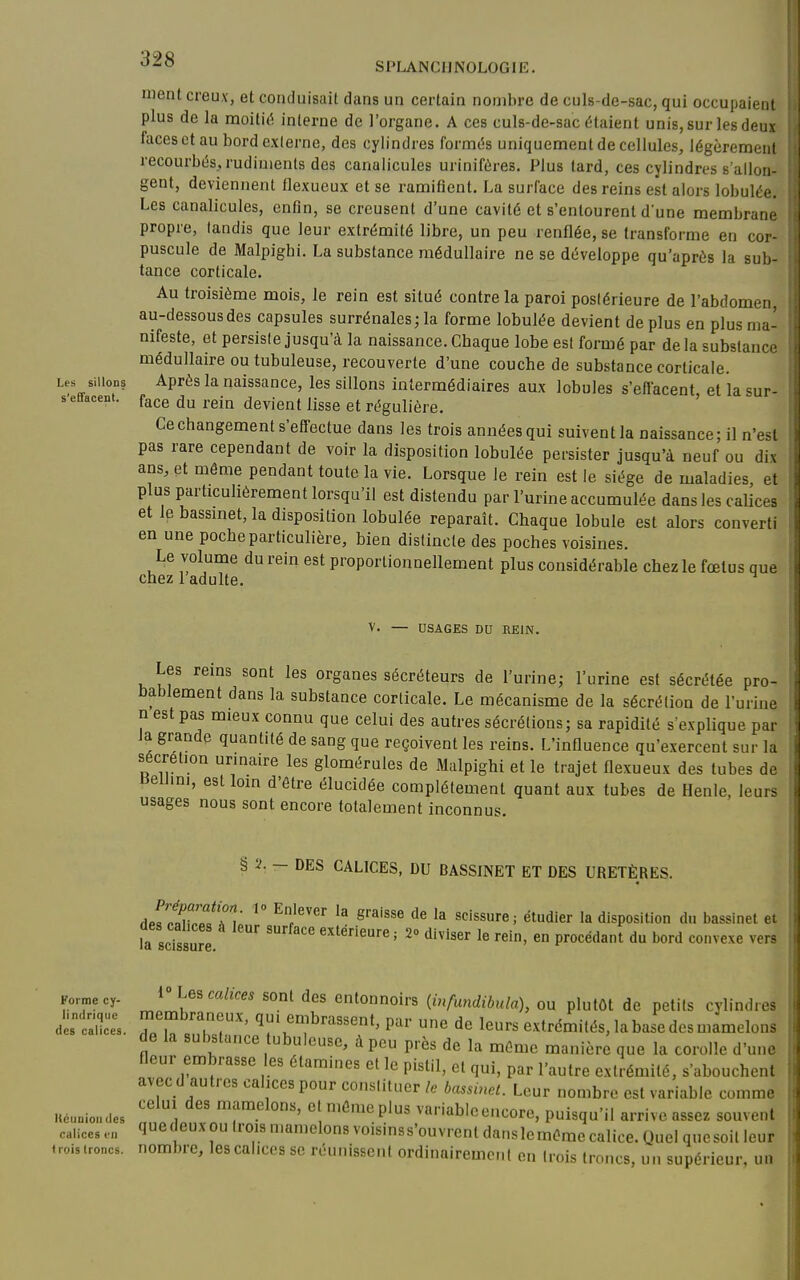 SPLANCIJNOLOGIE. iDent creuv, et conclLiisait dans un certain nombre de culs-de-sac, qui occupaiem plus de la moitit^ interne de l'organe. A ces culs-de-sac étaient unis, sur les deu^ faces et au bord e.xlerne, des cylindres formés uniquement de cellules, légèremem recourbés, rudiments des canalicules urinifères. Plus tard, ces cylindres s'allon gent, deviennent flexueux et se ramifient. La surface des reins est alors lobulée. Les canalicules, enfin, se creusent d'une cavité et s'entourent dune membram propre, tandis que leur extrémité libre, un peu renflée, se transforme en coj puscule de Malpighi. La substance médullaire ne se développe qu'après la suL tance corticale. Au troisième mois, le rein est situé contre la paroi postérieure de l'abdomen, au-dessousdes capsules surrénales;la forme lobulée devient déplus en plus ma nifeste, et persiste jusqu'à la naissance. Chaque lobe est formé par delà substance médullaire ou tubuleuse, recouverte d'une couche de substance corticale. Les sillons Après la naissance, les siUons intermédiaires aux lobules s'efiacent et 'lasur- s'effacent. face du rein devient lisse et régulière. ' Ce changement s'efTectue dans les trois années qui suivent la naissance; il n'est pas rare cependant de voir la disposition lobulée persister jusqu'à neuf ou dix ans, et même pendant toute la vie. Lorsque le rein est le siège de maladies et plus particulièrement lorsqu'il est distendu par l'urine accumulée dans les calices et le bassinet, la disposition lobulée reparaît. Chaque lobule est alors converti en une poche particulière, bien distincte des poches voisines. Le volume du rein est proportionnellement plus considérable chez le fœtus que chez 1 adulte. V. — USAGES DU REIN. Les reins sont les organes sécréteurs de l'urine; l'urine est sécrétée pro- bablement dans la substance corticale. Le mécanisme de la sécrétion de l'urine n est pas mieux connu que celui des autres sécrétions; sa rapidité s'explique par la grande quantité de sang que reçoivent les reins. L'influence qu'exercent sur la Sécrétion urinaire les glomérules de Malpighi et le trajet flexueux des tubes de iiellim, est loin d'être élucidée complètement quant aux tubes de Henle, leurs usages nous sont encore totalement inconnus. § a. — DES CALICES, DU BASSINET ET DES URETÈRES. J^oZTA' '° S''' «^'^«'«J étudier la disposition du bassinet c- fa scTssure «^^^érieure; 2» diviser le rein, en procédant du bord convexe vers Forme cy- lindrique des calices. Kcunioii des calices vu trois Ironcs. 1 Lesmto sont des entonnoirs (infundibula), ou plutôt de petits cylindres membraneux, qui ernbrassent, par une de leurs extrémités, la base des mamelons de la substance ubuleuse, à peu près de la même manière que la corolle d'une fleur embrasse les étamines et le pistil, et qui, par l'autre extrémité, s'abouchent avec d autres calices pour constituer le bassinet. Leur nombre est variable comme celui des mamelons, et même plus variabicc.icore, puisqu'il arrive assez souvent quedeuxou trois mamelons voisinss'ouvrentdanslemêraecalice. Quel quesoil leur nombre, les calices se réunissent ordinal remeiit en trois troncs, un supérieur, un