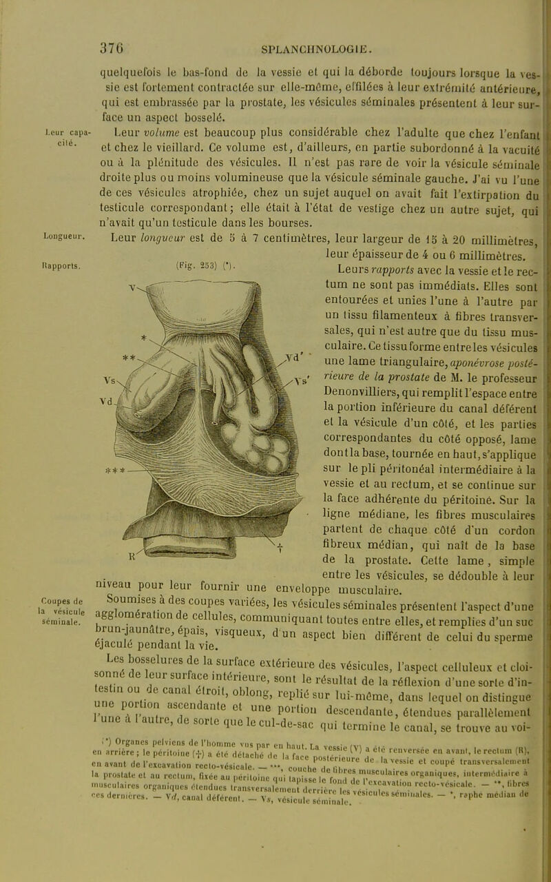 l-cur capa- cilé. Lougueur. Rapports. Coupes de la vésicule séminale. quelquefois le bas-fond de la vessie et qui la déborde toujours lorsque la ves- sie est Ibrtement contractée sur elie-tnûmej effilées à leur extrémité antérieure, qui est embrassée par la prostate, les vésicules séminales présentent à leur sur- face un aspect bosselé. Leur volume est beaucoup plus considérable chez l'adulte que chez l'enfaot et chez le vieillard. Ce volume est, d'ailleurs, en partie subordonné à la vacuité ou à la plénitude des vésicules. Il n'est pas rare de voir la vésicule séminale droite plus ou moins volumineuse que la vésicule séminale gauche. J'ai vu l'une de ces vésicules atrophiée, chez un sujet auquel on avait fait l'extirpation du testicule correspondant; elle était à l'état de vestige chez un autre sujet, qui n'avait qu'un testicule dans les bourses. Leur longveur est de 5 à 7 centimètres, leur largeur de 15 à 20 millimètres, leur épaisseur de 4 ou 6 millimètres. (Fig. 253) (•). Leurs rapports avec la vessie et le rec- tum ne sont pas immédiats. Elles sont entourées et unies l'une à l'autre par un lissu filamenteux à fibres transver- sales, qui n'est autre que du lissu mus- culaire. Ce tissu forme entre les vésicules une lame triangulaire, aponévrose posté- rieure de la prostate de M. le professeur Denonvilliers, qui remplit l'espace entre la portion inférieure du canal déférent et la vésicule d'un côté, et les parties correspondantes du côté opposé, lame dontlabase, tournée en haut,s'applique sur le pli péritonéal intermédiaire à la vessie et au rectum, et se continue sur la face adhérente du péritoinô. Sur la ligne médiane, les fibres musculaires partent de chaque côté d'un cordon fibreux médian, qui naît de la base de la prostate. Celte lame, simple entre les vésicules, se dédouble à leur mveau pour leur fournir une enveloppe musculaire. Soumises à des coupes variées, les vésicules séminales présentent l'aspect d'une agglomération de cellules, communiquant toutes entre elles, et remplies d'un suc brun-jaunatre, épais, visqueux, d un aspect bien différent de celui du sperme éjacule pendant la vie. .nnni [j'^^l^''^^ la surfacc extérieure des vésicules, l'aspect celluleux et cloi- onné de leur sur ace mtérieure, sont le résultat de la réflexion d'une sorte d'in- In nnH T'i'' '''^^S' '''P*^ l^^n^^^me, dans lequel on distinaue une iK) lion ascendante et une portion descendante, étendues parallèlenrent 1 une a I autre, de sorle que le cul-de-sac qui termine le canal, se trouve au voi- ;•) Organes pelviens de l'homme vus par en haut La vc«io (VI -i, en arrière; le péritoine (f) a été détaché dn l/rll . ' '  '''^^e'-see eu avaiil, le rectum (H), .11. • «leiacne de la face postérieure de la vessie et couné transversalement en avant de l'excavation reclo-vésicale. - —, couche do i;i,r,.c ™ i transversalemeni la prostate et au rectum, fixée au péritoine «ui la i.se le ri ? organiques, internuHl.aire a ...usculaires organiques étendues .'ansvei;: d i^ï .té ^^u::' T''-''^''\  ces dernières. - Vrf, canal déférent. - V,, vcsiculcrmînak. ' ~ ' 