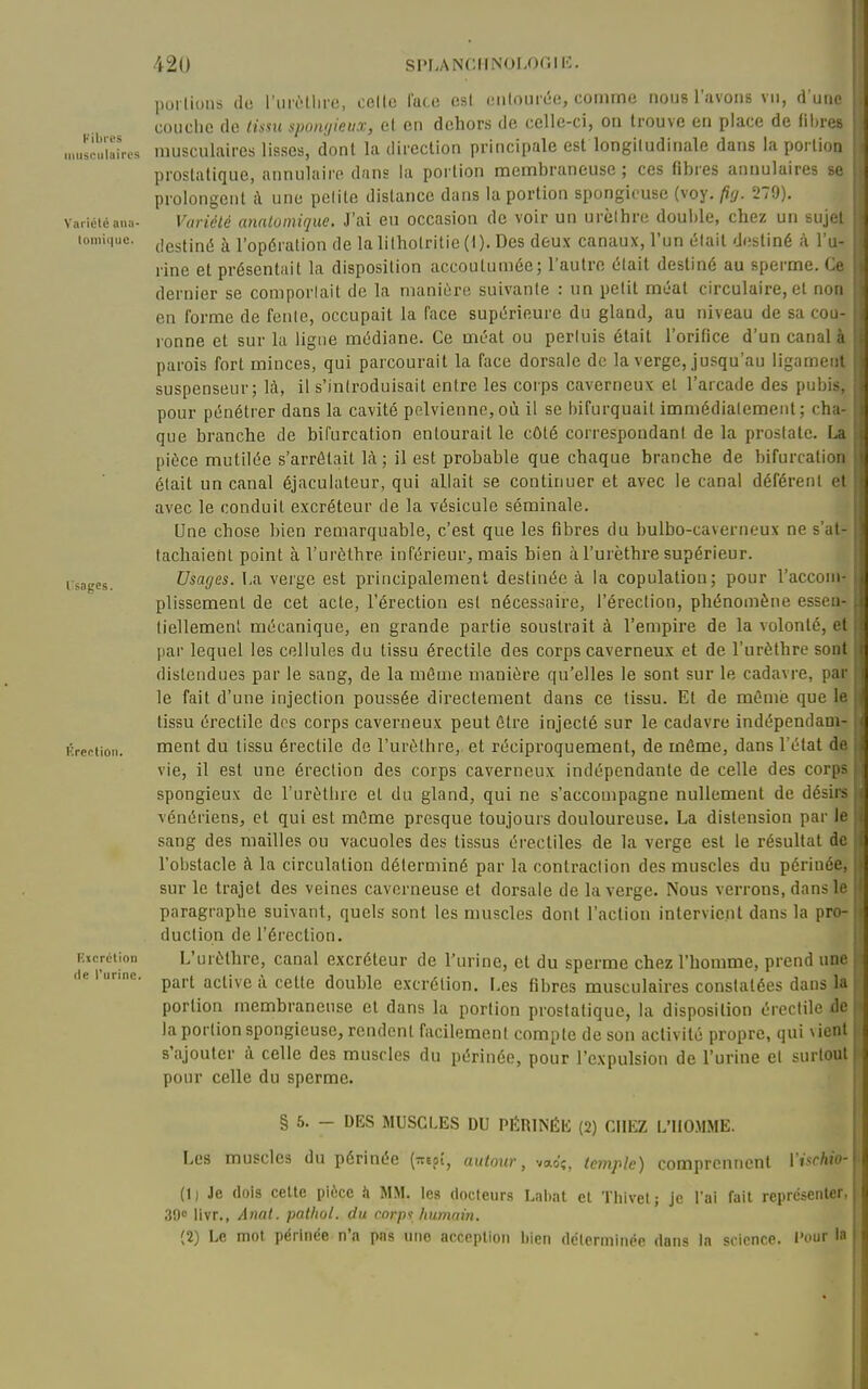 Fibres iiiiisciilaircs Varictc aiia- loiin(|uc. Isages. Krectioii. F.xcrétion (le l'urine. urôlliro, celle l'are esl eiilouriie, comme nous l'avons vu, d'une portions de couche de tissu sponi/ieux, et en dehors de celle-ci, on trouve en place de (il)re8 musculaires lisses, dont la direction principale est longitudinale dans la portion prostatique, annulaire dans la portion membraneuse ; ces fibres annulaires se prolongent il une petite dislance dans la portion spongieuse (voy. (i<j. 279). Variété analomique. J'ai eu occasion de voir un urèlhre double, chez un sujet destiné à l'opération de la lithotritie (t). Des deux canaux, l'un était destiné k l'u- rine et présentait la disposition accoutumée; l'autre était destiné au sperme. Ce dernier se comporlait de la manière suivante : un petit méat circulaire, et non en forme de fente, occupait la face supérieure du gland, au niveau de sa cou- ronne et sur la ligne médiane. Ce méat ou pertuis était l'orifice d'un canal à parois fort minces, qui parcourait la face dorsale de la verge, jusqu'au ligament suspenseur; là, il s'introduisait entre les corps caverneux et l'arcade des pubis, pour pénétrer dans la cavité pelvienne,où il se bifurquait immédiatement; cha- que branche de bifurcation entourait le côté correspondant de la prostate. La pièce mutilée s'arrêtait là; il est probable que chaque branche de bifurcation était un canal éjaculateur, qui allait se continuer et avec le canal déférent et avec le conduit excréteur de la vésicule séminale. Une chose bien remarquable, c'est que les fibres du bulbo-caverneux ne s'at- tachaient point à l'urôtbre inférieur, mais bien à l'urèthre supérieur. Usages. l,a verge est principalement destinée à la copulation; pour l'accom- plissement de cet acte, l'érection esl nécessaire, l'érection, phénomène esseu- tiellement mécanique, en grande partie soustrait à l'empire de la volonté, et par lequel les cellules du tissu érectile des corps caverneux et de l'urèthre sont distendues par le sang, de la même manière qu'elles le sont sur le cadavre, par le fait d'une injection poussée directement dans ce tissu. El de même que le tissu érectile dos corps caverneux peut être injecté sur le cadavre indépendam- ment du tissu érectile de l'urèthre, et récipi'oquement, de môme, dans l'état de vie, il est une érection des corps caverneux indépendante de celle des corps spongieux de l'urèthre el du gland, qui ne s'accompagne nullement de désii vénériens, et qui est même presque toujours douloureuse. La distension par I sang des mailles ou vacuoles des tissus érectiles de la verge est le résultat d l'obstacle à la circulation déterminé par la contraction des muscles du périnée, sur le trajet des veines caverneuse et dorsale de la verge. Nous verrons, dans le paragraphe suivant, quels sont les muscles dont l'action intervient dans la pro- duction de l'érection. L'urèthre, canal excréteur de l'urine, et du sperme chez l'homme, prend un( part active à cette double excrétion. Les fibres musculaires constatées dans 1 portion membraneuse el dans la portion prostatique, la disposition érectile > la portion spongieuse, rendent facilement compte de son activité propre, qui \ic! s'ajouter à celle des muscles du périnée, pour l'expulsion de l'urine el surtoi pour celle du sperme. § 5. - DES MUSCLES DU PÉRlNÉli (2) CHEZ L'HOMME. Les muscles du périnée (Tcepî, autour, vaoç, temple) comprennent Vischio- (1) Je dois cette pièce à MM. les docteurs Lal)at et Thivet; je l'ai fait représenter, 39 livr., Anat. pathol. du corpi humain. (2) Le mot périnée n'a pas une acception bien déterminée dans la science, l'ont la