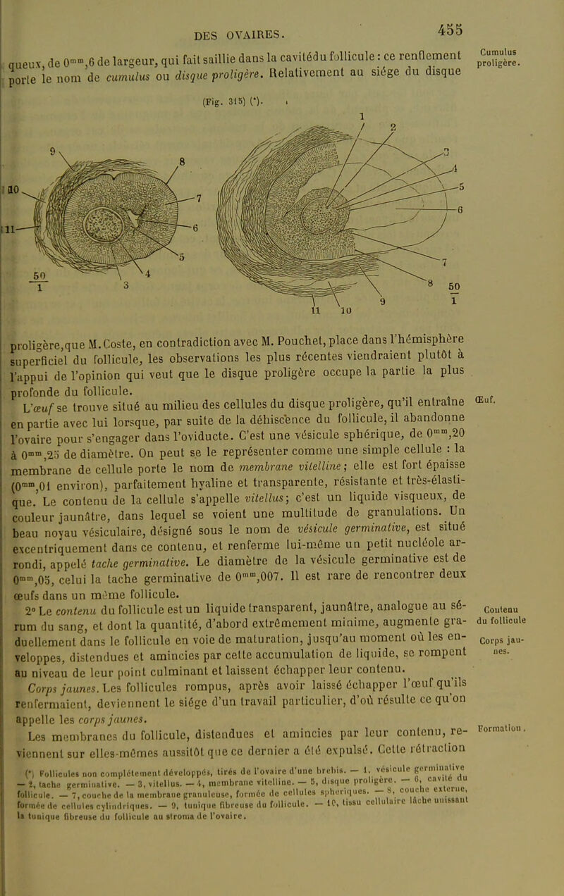 aueux de 0-,6 de largeur, qui fail saillie dans la cavilédu follicule : ce renflement ^t;—^ porle le nom de cumulus ou disque proligère. Relativement au siège du disque (Fig. 315) (•). proligère,que M.Coste, en contradiction avec M. Pouchet, place dans l'hiîmisphère superficiel du follicule, les observations les plus récentes viendraient plutôt à l'appui de l'opinion qui veut que le disque proligère occupe la partie la plus profonde du follicule. L'œuf se trouve situé au milieu des cellules du disque proligère, qu'il entraîne en partie avec lui lorsque, par suite de la déhiscence du follicule, il abandonne l'ovaire pour s'engager dans l'oviducte. C'est une vésicule sphérique, de 0°,20 à 0«',2o de diamètre. On peut se le représenter comme une simple cellule : la membrane de cellule porte le nom de membrane vilelline; elle est fort épaisse (0°°,01 environ), parfaitement hyaline et transparente, résistante et très-élasti- que.' Le contenu de la cellule s'appelle vitellus; c'est un liquide visqueux, de couleur jaunfitre, dans lequel se voient une multitude de granulations. Un beau noyau vésiculaire, désigné sous le nom de vésicule germinative, est situé exccntriquement dans ce contenu, et renferme lui-même un petit nucléole ar- rondi, appelé tache germinalive. Le diamètre de la vésicule germinative est de 0°,0o, celui la tache germinative de 0',007. 11 est rare de rencontrer deux œufs dans un mt'me follicule. 2° Le contenu du follicule est un liquide (ransparent, jaunâtre, analogue au sé- rum du sang, et dont la quantité, d'abord extrêmement minime, augmente gra- duellement dans le follicule en voie de maturation, jusqu'au moment où les en- veloppes, distendues et amincies par celle accumulation de liquide, se rompent au niveau de leur point culminant et laissent échapper leur contenu. Cor/).î jaunes. Les follicules rompus, après avoir laissé échapper l'œuf qu'ils renfermaient, deviennent le siège d'un travail particulier, d'où résulte ce qu'on appelle les corps jaunes. Les m<!nibrancs du follicule, distendues et amincies par leur contenu, re- viennent sur elles-mêmes aussitôt que ce dernier a élé expulsé. Cette rélraclion n Polliciile» non complètement .léveloppéi, tirés de l'ovaire d'une brebis. - i. vésicule f «1''? - î, tache germinalive. - 3, vitellus. - 4, membrane vilolline. - 5, disque proligère. - 0 follicule. - 7, couche de la membrane granuleuse, formée de cellules si-honqucs. - 8, coucnc ciiuiit, formée de cellules cylindriques. - 9. l.iniqne f.bicuse du follicule. - IC. tissu cellulaire lûche unissant Il tunique Tibreuse du follicule au stronia de l'ovaire. Œuf. Couteau du follicule Corps jau- nes. Fonnaliou ,