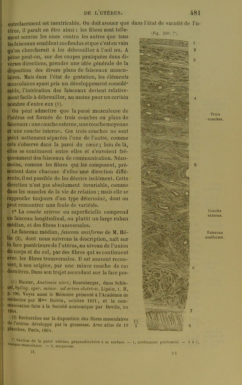 (Fig. 330) entrelacement est inextricable. On doit avouer que dans l'état de vacuité de l'u- térus, il paraît en être ainsi : les fibres sont telle- ment serrées les unes contre les autres que tous les faisceaux semblent coufondus et que c'est en vain qu'on chercherait à les débrouiller à l'œil nu. A peine peut-on, sur des coupes pratiquées dans di- verses directions, prendre une idée générale de la disposition des divers plans de faisceaux muscu- laires. Mais dans l'état de gestation, les éléments musculaires ayant pris un développement considé- rable, l'intrication des faisceaux devient relative- ment facile à débrouiller, au moins pour un certain nombre d'entre eux (1). On peut admettre que la paroi musculeuse de l'utérus est formée de trois couches ou plans de faisceaux : unecouche externe, unecouchemoyenne et une couche interne. Ces trois couches ne sont point nettement séparées l'une de l'autre, comme cela s'observe dans la paroi du cœur; loin de là, elles se continuent entre elles et s'envoient fré- quemment des faisceaux de communication. Néan- moins, comme les fibres qui les composent, pré- sentent dans chacune d'elles une direction diffé- rente, il est possible de les décrire isolément. Celte direction n'est pas absolument invariable, comme dans les muscles de la vie de relation ; mais elle se rapproche toujours d'un type déterminé, dont on peut rencontrer une foule de variétés. 1' La couche externe ou superficielle comprend un faisceau longitudinal, ou plutôt un large ruban médian, et des fibres ti ansversales. Le faisceau médian, faisceau ansiforme de M. Hé- lie (2), dont nous suivrons la description, naît sur la face postérieure de l'utérus, au niveau de l'union du corps et du col, par des fibres qui se continuent avec les fibres transversales. Il est souvent recou- vert, à son origine, par une mince couche de ces dernières. Dans son trajet ascendant sur la face pos- (1) Humer, Analomia uleri; Uosenberger, dans Schle- 9fi\,Sijllofj. oper. minor. ad arlem obstetric. Lipsiœ, t. H, p. 296. Voyez aussi le Mémoire présenté à l'Académie de médecine par M» Boivln, octobre 1821, et la com- munication faite à la Société anatomlque par Deville. en 1844. (2) Uechcrclies sur la disposition des fibres musculaires de l'utérus développé parla grossesse. Avec atlas de 10 planches. Paris, 18G4. Trois couches. Couche externe. Faisceau ausiforme. LîL 1 ( ) Section de la paroi utérine, perpeutliculiire à sa surface. — 1, rcvùtcmeiil périloiiùal. — i! « 7, lumque musculeuse. - 8, muqueuse. II. ;t I