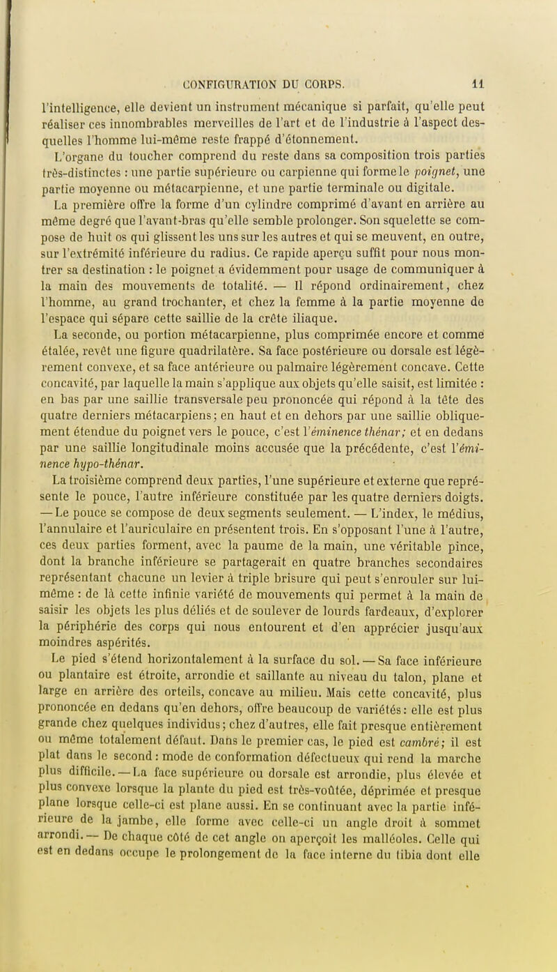 l'intelligence, elle devient un instrument mécanique si parfait, qu'elle peut réaliser ces innombrables merveilles de l'art et de l'industrie à l'aspect des- quelles l'homme lui-même reste frappé d'étonnement. L'organe du toucher comprend du reste dans sa composition trois parties très-distinctes : une partie supérieure ou carpienne qui forme le poignet, une partie moyenne ou métacarpienne, et une partie terminale ou digitale. La première offre la forme d'un cylindre comprimé d'avant en arrière au môme degré que l'avant-bras qu'elle semble prolonger. Son squelette se com- pose de huit os qui glissent les uns sur les autres et qui se meuvent, en outre, sur l'extrémité inférieure du radius. Ce rapide aperçu suffit pour nous mon- trer sa destination : le poignet a évidemment pour usage de communiquer à la main des mouvements de totalité. — Il répond ordinairement, chez l'homme, au grand trochanter, et chez la femme à la partie moyenne de l'espace qui sépare cette saillie de la crête iliaque. La seconde, ou portion métacarpienne, plus comprimée encore et comme étalée, revêt une figure quadrilatère. Sa face postérieure ou dorsale est légè- rement convexe, et sa face antérieure ou palmaire légèrement concave. Cette concavité, par laquelle la main s'applique aux objets qu'elle saisit, est limitée : en bas par une saillie transversale peu prononcée qui répond à la tête des quatre derniers métacarpiens; en haut et en dehors par une saillie oblique- ment étendue du poignet vers le pouce, c'est Yéminence thénar; et en dedans par une saillie longitudinale moins accusée que la précédente, c'est Yémi- nence hypo-thénar. La troisième comprend deux parties, l'une supérieure et externe que repré- sente le pouce, l'autre inférieure constituée par les quatre derniers doigts. — Le pouce se compose de deux segments seulement. — L'index, le médius, l'annulaire et l'auriculaire en présentent trois. En s'opposant l'une à l'autre, ces deux parties forment, avec la paume de la main, une véritable pince, dont la branche inférieure se partagerait en quatre branches secondaires représentant chacune un levier à triple brisure qui peut s'enrouler sur lui- même : de là cette infinie variété de mouvements qui permet à la main de saisir les objets les plus déliés et de soulever de lourds fardeaux, d'explorer la périphérie des corps qui nous entourent et d'en apprécier jusqu'aux moindres aspérités. Le pied s'étend horizontalement à la surface du sol.— Sa face inférieure ou plantaire est étroite, arrondie et saillante au niveau du talon, plane et large en arrière des orteils, concave au milieu. Mais cette concavité, plus prononcée en dedans qu'en dehors, offre beaucoup de variétés: elle est plus grande chez quelques individus; chez d'autres, elle fait presque entièrement ou même totalement défaut. Dans le premier cas, le pied est cambré; il est plat dans le second : mode de conformation défectueux qui rend la marche plus difficile. —La face supérieure ou dorsale est arrondie, plus élevée et plus convexe lorsque la plante du pied est très-voûtée, déprimée et presque plane lorsque celle-ci est plane aussi. En se continuant avec la partie infé- rieure de la jambe, elle forme avec celle-ci un angle droit à sommet arrondi. — De chaque côté de cet angle on aperçoit les malléoles. Celle qui est en dedans occupe le prolongement de la face interne du tibia dont elle