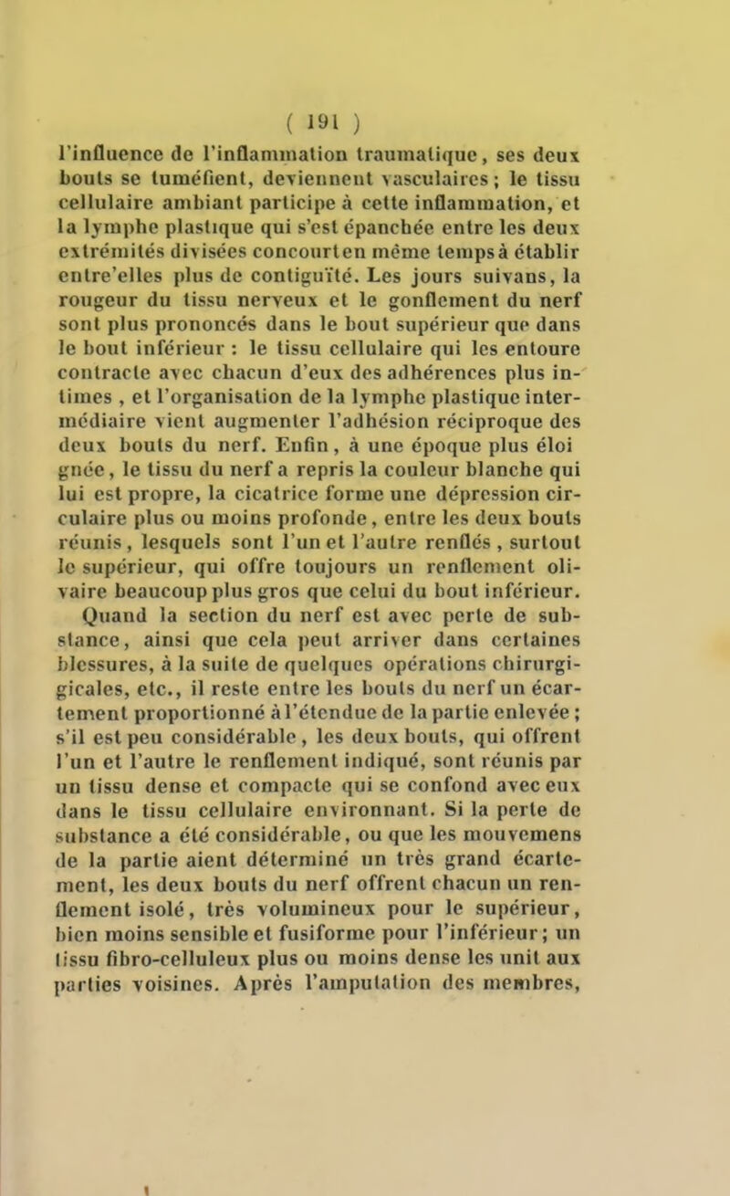 l'influence de l'inflamination Iraumatique, ses deux bouts se luméfienl, deviennent vasculaiies ; le tissu cellulaire ambiant participe à cette inflammation, et la lymphe plastique qui s'est épanchée entre les deux extrémités divisées concourten même temps à établir entre'elles plus de contiguïté. Les jours suivans, la rougeur du tissu nerveux et le gonflement du nerf sont plus prononcés dans le bout supérieur que dans le bout inférieur : le tissu cellulaire qui les entoure contracte avec chacun d'eux des adhérences plus in- times , et l'organisation de la lymphe plastique inter- médiaire vient augmenter l'adhésion réciproque des deux bouts du nerf. Enfin, à une époque plus éloi gnéc, le tissu du nerf a repris la couleur blanche qui lui est propre, la cicatrice forme une dépression cir- culaire plus ou moins profonde, entre les deux bouts réunis , lesquels sont l'un et l'autre renflés , surtout le supérieur, qui offre toujours un renflement oli- vaire beaucoup plus gros que celui du bout inférieur. Quand la section du nerf est avec perle de sub- stance, ainsi que cela peut arriver dans certaines blessures, à la suite de quelques opérations chirurgi- gicales, etc., il reste entre les bouts du nerf un écar- lement proportionné à l'étendue de la partie enlevée ; s'il est peu considérable, les deux bouts, qui offrent l'un et l'autre le renflement indiqué, sont réunis par un tissu dense et compacte qui se confond avec eux dans le tissu cellulaire environnant. Si la perte de substance a été considérable, ou que les mouvemens de la partie aient déterminé un très grand écartc- menl, les deux bouts du nerf offrent chacun un ren- flement isolé, très volumineux pour le supérieur, bien moins sensible et fusiforme pour l'inférieur; un lissu fibro-celluleux plus ou moins dense les unit aux parties voisines. Après l'amputation des membres, I