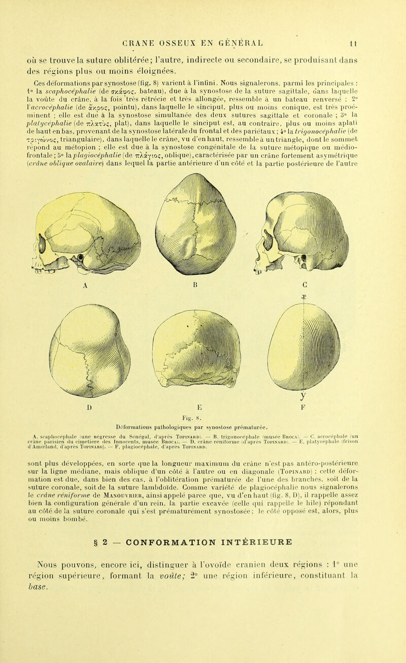 où se trouve la suture oblitérée; l'autre, indirecte ou secondaire, se produisant dans des régions plus ou moins éloignées. Ces déformations par synostose (lîg. 8) varient à l'infini. Nous signalerons, parmi les principales : 1 la scaphocéphalie (de Œ/.aooç, bateau), due à la synostose de la suture sagittale, dans laquelle la voûte du crâne, à la fois très rétrécie et très allongée, ressemble à un bateau renversé : 2° Vacrocéphalie (de oiy.oo^, pointu), dans laquelle le sinciput, plus ou moins conique, est très proé- minent ; elle est due à la synostose simultanée des deux sutures sagittale et coronale ; 3° la plalycéphalie (Ae Tzkii'j^, plat), dans laquelle le sinciput est, au contraire, plus ou moins aplati de haut en bas, provenant de la synostose latérale du frontal et des pariétaux ; 4° la f rigonocéphalie (de Totvtôvoç, triangulaire), dans laquelle le crâne, vu d'en haut, ressemble à un triangle, dont le sommet répond au métopion ; elle est due à la synostose congénitale de la suture métopique ou médio- frontaleiS» la.plufjiocéphalie {de TrXâytoi;, oblique),caractérisée par un crâne fortement asymétrique {crâne oblique ovaluire) dans lequel la partie antérieure d'un côté et la partie postérieure de l'autre Déformations pathologiques par synostose prématurée. A, soapliocéphiile lune négresse du Sénégal, il'aprés Topinardi. — B, trigonocépliale (musée BrocaI. — C. acrooépliale lun rràne parisien du cimetière des Innocents, musée BrocaI. — D. crâne rénilbrme (d'après Topinard). — E, platycépliate (frison d'Amœland, d'après Topinard). — F, ptagiocépliate, d'après Topinard. sont plus développées, en sorte que la longueur maximum du crâne n'est pas antéro-postérieure sur la ligne médiane, mais oblique d'un côté à l'autre ou on diagonale (Topinard) : cette défor- mation est due. dans bien des cas. à l'oblitération prématurée de l'une des branches, soit de la suture coronale, soit de la suture lamhdo'ide. Comme variété de plagiocéphalie nous signalerons le crâne rcniforme de Manouv riku, ainsi appelé parce que, vu d'en liaut (lig. 8. D), il rappelle assez bien la configuration générale d'un rein, la partie excavéc (celle qui rappelle le hile) répondant au côté delà suture coronale qui s'est prématurément synostosée; le côté opposé est, alors, plus ou moins bombé. § 2 — CONFORMATION INTÉRIEURE Nous pouvons, encore ici, distinguer à rovo'ido crânien deux régions : \ une région supérieure, formant la voùle; 2° une région inférieure, constituant la base.