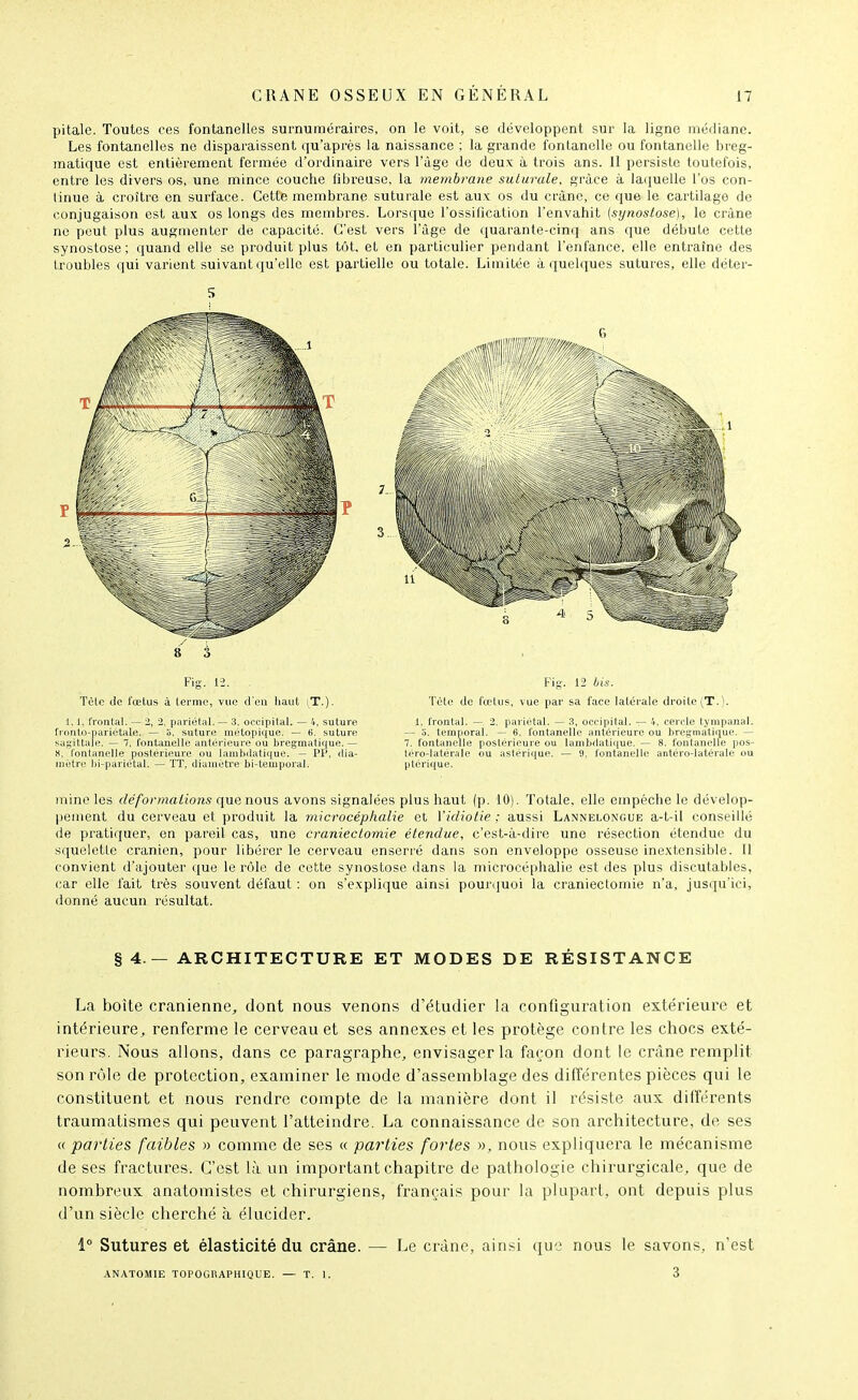 pitale. Toutes ces fontanelles surnuméraires, on le voit, se développent sur la ligne médiane. Les fontanelles ne disparaissent qu'après la naissance ; la grande fontanelle ou fontanelle breg- matique est entièrement fermée d'ordinaire vers l'âge de deux à trois ans. 11 persiste toutefois, entre les divers os, une mince couche fibreuse, la membrane sulurale. grâce à la(iuelle l'os con- tinue à croître en surface. Cette membrane suturale est aux os du crâne, ce que le cartilage de conjugaison est aux os longs des membres. Lorsciue l'ossilication l'envahit (sytioslose), le crâne ne peut plus augmenter de capacité. C'est vers l'âge de quarante-cinq ans que débute cette synostose ; quand elle se produit plus tôt. et en particulier pendant l'enfance, elle entraîne des troubles qui varient suivant qu'elle est partielle ou totale. Limitée à quelques sutures, elle déter- 5 8 3 Fig. 12. ^ Télc de i'œlus à lei'ine, vue d'en haut l,T.). 1. i. frontal. — 2, 2, pariétal. — 3. occipital. — .V, suture fronto-pariétale. — a, suture métopique. — 6. suture sagittale. — 7, fontanelle antérieure ou bregmatique. — H, 'l'ontanelle postérieure ou lainbdatique. — PP, dia- mètre hi-pariétal. — TT, diauictre bi-teuiporai. Fig. 12 bis. Tète de fœtus, vue par sa face latérale droite (T.). 1. frontal. — 2. pariétal. — 3, occipital. — 4, cercle tympanal. — S. temporal. — 6. fontanelle antérieure ou bregmatique. — 7. fontanelle postérieure ou lanibdatique. — 8. fontanelfe pos- téro-iatérale ou asléri<iue. — 9. fontanelle antéro-latérale ou ptcrique. mine les déformations qo-Q nom avons signalées plus haut (p. 10). Totale, elle empêche le dévelop- Ijement du cerveau et produit la microcéphalie et Vidiotie : aussi Lannelongue a-t-il conseillé (le pratiquer, en pareil cas, une craniectomie étendue, c'est-à-dire une résection étendue du squelette crânien, pour libérer le cerveau enseri'é dans son enveloppe osseuse inextensible. Il convient d'ajouter que le rôle de cette synostose dans la microcéphalie est des plus discutables, car elle fait très souvent défaut : on s'explique ainsi pourquoi la craniectomie n'a, jusqu'ici, donné aucun résultat. § 4. — ARCHITECTURE ET MODES DE RÉSISTANCE La boîte crânienne^ dont nous venons d'étudier la configuration extérieure et intérieure, renferme le cerveau et ses annexes et les protège contre les chocs exté- rieurs. Nous allons, dans ce paragraphe, envisager la façon dont le crâne remplit son rijle de protection, examiner le mode d'assemblage des différentes pièces qui le constituent et nous rendre compte de la manière dont il résiste aux différents traumatismes qui peuvent l'atteindre. La connaissance de son architecture, de ses « parties faibles » comme de ses « parties fortes », nous expliquera le mécanisme de ses fractures. C'est là un important chapitre de pathologie chirurgicale, que de nombreux anatomistes et chirurgiens, français pour la plupart, ont depuis plus d'un siècle cherché à élucider. 1° Sutures et élasticité du crâne. — Le crâne, ainsi que nous le savons, n'est .\NATOMIE TOPOGRAPHIQUE. — T. 1. 3