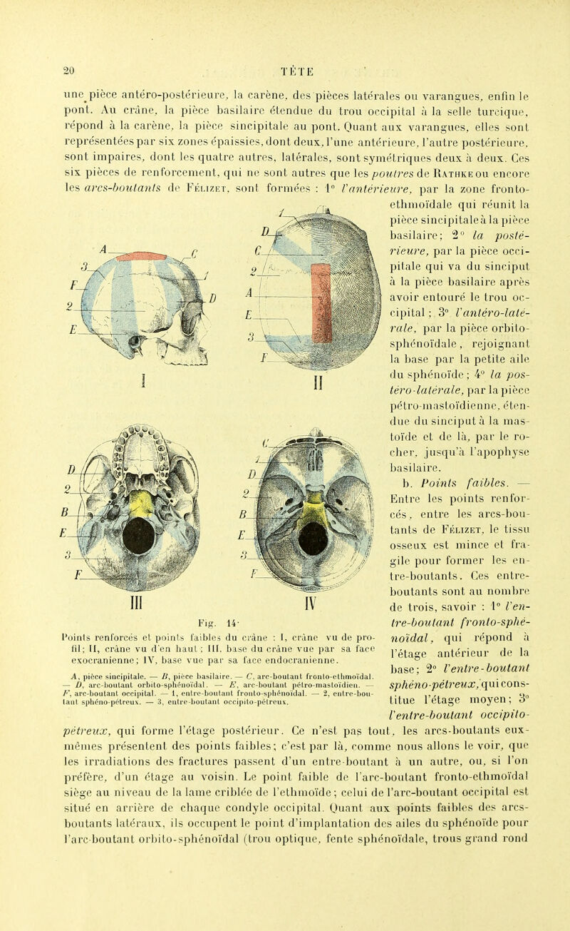 il une_pièce antéro-postérieure, la carène, des pièces latérales ou varangues, enfin le pont. Au crâne, la pièce basilaire étendue du trou occipital à la selle turcique, répond à la carène, la pièce sincipitale au pont. Quant aux varangues, elles sont représentées par six zones épaissies, dont deux, l'une antérieure, l'autre postérieure, sont impaires, dont les quatre autres, latérales, sont symétriques deux à deux. Ces six pièces de renforcement, qui ne sont autres que les poutres de Rathkeou encore les arcs-boulanls de Féliziît, sont formées : i Vantérieure, par la zone fronto- ethmoïdale qui réunit la pièce sincipitale à la pièce basilaire; 'i° la posté- rieure, par la pièce occi- pitale qui va du sinciput à la pièce basilaire après avoir entouré le trou oc- cipital ; 3° ranléro-lalé- rale, par la pièce orbilo- sphénoïdale, rejoignant la base par la petite aile du sphénoïde ; 4 la pos- tera-latérale, par la pièce pétro-mastoïdiennc, éten- due du sinciput à la mas- toïde et de là, par le ro- cher, jusqu'à l'apophyse basilaire. b. Points faibles. — Entre les points renfor- cés , entre les arcs-bou- tants de Félizet, le tissu osseux est mince et fra- gile pour former les en- tre-boutants. Ces entre- boutants sont au nombre de trois, savoir : l l'en- tre-boutant fronto-sphé- noïdal, qui répond à l'étage antérieur de la base; 2° Ventre-boutant sphéno-pélreux,'qm cons- titue l'étage moyen; 3 l'entre-boutant occipito- pétreux, qui forme l'étage postérieur. Ce n'est pas tout, les arcs-boutants eux- mêmes présentent des points faibles; c'est par là, comme nous allons le voir, que les irradiations des fractures passent d'un cntre-boutant à un autre, on, si l'on préfère, d'un étage au voisin. Le point faible de l'arc-boutant fronto-ethmoïdal siège au niveau de la lame criblée de l'ethmoïde; celui de l'arc-boutant occipital est situé en arrière de chaque condyle occipital. Quant aux points faibles des arcs- boutants latéraux, ils occupent le point d'implantation des ailes du sphénoïde pour l'arc-boutant orbito-sphénoïdal (trou optique, fente sphénoïdale, trous gi-and rond III Fia. 14- l'oinis renforcés et points faibles du crâne : I, crâne vu de pro- fil: 11, crâne vu d'en haut ; III. base du crâne vue par sa face esocranienne ; IV, base vue par sa face endocranienne. A, pièce siacipitalc. — U, pièce basilaire. — C, arc-boutant fioiilo-etlimoïdal. — D, ai'C-boutant orbito-sphénoïdal. — E, arc-boutanl pétro-mastoïdien. — F, arc-boulant occipital. — 1, enlrc-boulant fronto-spliénoïdal. — 2, entre-boii- taiil sphéno-potreu\. — 3, enirc-boutant occipilo-pélrcux.