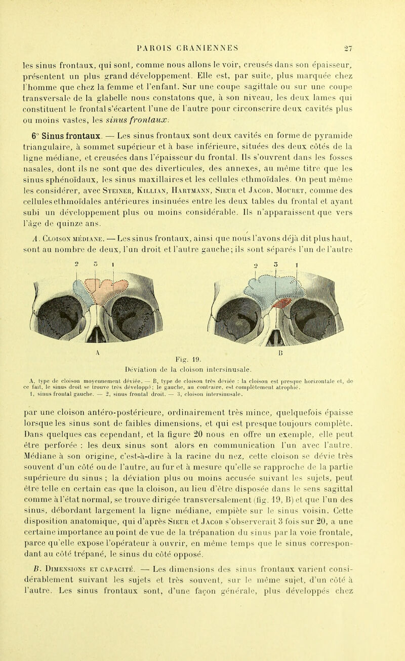 les sinus frontaux, qui sont, comme nous allons le voir, creusés dans son épaisseur, présentent un plus grand développement. Elle est, par suite, plus marquée chez l'homme que chez la femme et l'enfant. Sur une coupe sagittale ou sur une coupe transversale de la glabelle nous constatons que, à son niveau, les deux lames qui constituent le frontal s'écartent l'une de l'autre pour circonscrire deux cavités plus ou moins vastes, les sinus frontaux. 6° Sinus frontaux. — Les sinus frontaux sont deux cavités en forme de pyramide triangulaire, à sommet supérieur et à base inférieure, situées des deux côtés de la ligne médiane, et creusées dans l'épaisseur du frontal. Ils s'ouvrent dans les fosses nasales, dont ils ne sont que des diverticules, des annexes, au même titre que les sinus sphénoïdaux, les sinus maxillaires et les cellules ethmoïdales. On peut même les considérer, avec Sïeiner, Killian, Hartmann, Sieur et Jacob, Mouret, comme des cellules ethmoïdales antérieures insinuées entre les deux tables du frontal et ayant subi un développement plus ou moins considérable. Us n'apparaissent que vers l'âge de quinze ans. A. Cloison médiane. — Les sinus frontaux, ainsi que nous l'avons déjà dit plus haut, sont au nombre de deux, l'un di^oit et l'autre gauche; ils sont séparés l'un de l'autre A. type de cloison moyennement déviée.— B, type de cloison très déviée : la cloison est presque horizontale et, de ce l'ait, le sinus droit se trouve très développé; le gauclie, au contraire, est coniplctemeut atrophié. 1, sinus frontal gauche. — 2, sinus frontal droit. — .3, cloison intersinusale. par une cloison antéro-postérieure, ordinairement très mince, quelquefois épaisse lorsque les sinus sont de faibles dimensions, et qui est presque toujours complète. Dans quelques cas cependant, et la figure 20 nous en offre un exemple, elle peut être perforée : les deux sinus sont alors en communication l'un avec Tau lie. Médiane à son origine, c'est-à-dire à la racine du nez, cette cloison se dévie très souvent d'un côté ou de l'autre, au furet à mesure qu'elle se rapproche de la partie supérieure du sinus ; la déviation plus ou moins accusée suivant les sujets, peut être telle en certain cas que la cloison, au lieu d'être disposée dans le sens sagittal comme à l'état normal, se trouve dirigée transversalement (fig. 19, B) et que l'un des sinus, débordant largement la ligne médiane, empiète sur le sinus voisin. Cette disposition anatomique, qui d'après Sieur et .Jacob s'observerait 3 fois sur 20, a une certaine importance au point de vue de la trépanation du sinus par la voie frontale, parce qu'elle expose l'opérateur à ouvrir, en même temps que le sinus correspon- dant au côté trépané, le sinus du côté opposé. B. Dimensions et capacité. — Les dimensions des sinus frontaux varient consi- dérablement suivant les sujets et très souvent, sur le même sujet, d'un côté à l'autre. Les sinus frontaux sont, d'une façon générale, plus développés chez 5 • i Fig. 19. Déviation de la cloison intersinusale.