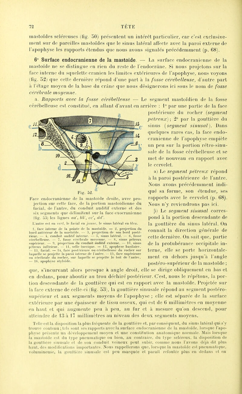 mastoïdes sclérouses (fig. oO) présentent un intérêt particulier, car c'est exclusive- ment sur de pareilles mastoïdes que le sinus latéi^al affecte avec la paroi externe de l'apophyse les rapports étendus que nous avons signalés précédemment (p. 68). 6° Surface endocranienne de la mastoïde. — La surface endocranienne de la mastoïde ne se distingue en rien du reste de l'endocràne. Si nous projetons sur la face interne du squelette crânien les limites extérieures de l'apophyse, nous voyons (fig. 52j que cette dernière répond d'une part à la fosse cérébelleuse, dautre part à l'étage moyen de la base du crâne que nous désignerons ici sous le nom de fosse cérébrale moyenne. a. Rapports avec la fosse cérébelleuse — Le segment mastoïdien de la fosse cérébelleuse est constitué, en allant d'avant en arrière : 1° par une partie de la face postérieure du rocher {segment pélreux) ; 2° par la gouttière du sinus [segment sinusal). Dans quelques rares cas, la face endo- cranienne de l'apophyse empiète un peu sur la portion rétro-sinu- sale de la fosse cérébelleuse et se met de nouveau en rapport avec le cervelet. a) Le segment pétreux répond à la paroi postérieure de l'antre. Nous avons précédemment indi- qué sa forme, son étendue, ses rapports avec le cervelet (p. 68). Nous n'y i^eviendrons pas ici. |i) Le segment sinusal corres- pond à la portion descendante de la gouttière du sinus latéral. On connaît la direction générale de cette dernière. On sait que, partie de la protubérance occipitale in- terne, elle se porte horizontale- ment en dehors jusqu'à l'angle postéro-supérieur de la mastoïde ; que, s'incurvant alors presque à angle droit, elle se dirige obliquement en bas et en dedans, pour aboutir au trou déchiré postérieur. C'est, nous le répétons, la por- tion descendante de la gouttière qui est en rapport avec la mastoïde. Projetée sur la face externe de celle-ci (fig. 53), la gouttière sinusale répond au segment postéro- supérieur et aux segments moyens de l'apophyse ; elle est séparée de la surface extérieure par une épaisseur de tissu osseux, qui est de 6 millimètres en moyenne en haut et qui augmente peu à peu, au fur et à mesure qu'on descend, pour atteindre de 13 à 17 millimètres au niveau des deux segments moyens. Telle est la disposition la plus l'réquento de la gouttière et, par cons('i(uent, du sinus latéral qui s'y trouve contenu ; tels sont ses rapports avec la sui-l'ace endocranienne de la mastoïde, lorsque l'apo- physe présente un développement moyen et une constitution anatomiquc normale. Mais lorsi|uc la mastoïde est du type pneumatique ou bien, au contraire, du type scléroux. la disposition de la gouttière sinusale et de son conduit veineux peut suiiir. comme nous l'avons déjà dit plus haut, des modifications importantes. Nous rappellerons que, lorsi[uola mastoïde est pneumatique, volumineuse, la gouttière sinusale est pou inar(juée et païuit refoulée plus en dedans et en Fig. 52. Face endocranienne de la mastoïde droite, avec pro- jection sur cette l'ace, de la portion mastoïdienne du facial, de l'antre, du conduit auditif externe et des six segments que délimitent sur la face cxocranicnne (fig. 53) les lignes aa , bb', ce', dd'. L'anlre est en verl, le facial en jaune, le sinus latéral en bleu. 1, face interne de la pointe de la mastoïde. — i. projection du bord antérieur de la mastoïde. — 3, projection de son bord posté- rieur. — 4, conduit auditif interne. — 5, sinus latéral. — 6, fosse cérébelleuse. — 7, fosse cérébrale moyenne. — S, sinus pétreux supérieur. — 9, projection du conduit auditif externe. — 10, sinus pétreux inférieur. — 11, selle turcir|ue. — 12, apophyse basilaire. — 1.3, facial. — 14, face postérieure ou cérébelleuse (lu roclior sur la(|ueile se projette la paroi inlerne de l'antre. — 15, face supérieure ou cérébrale du rocher, sur laquelle se projette le toit de l'antre. — 16, apophyse styluïdc.