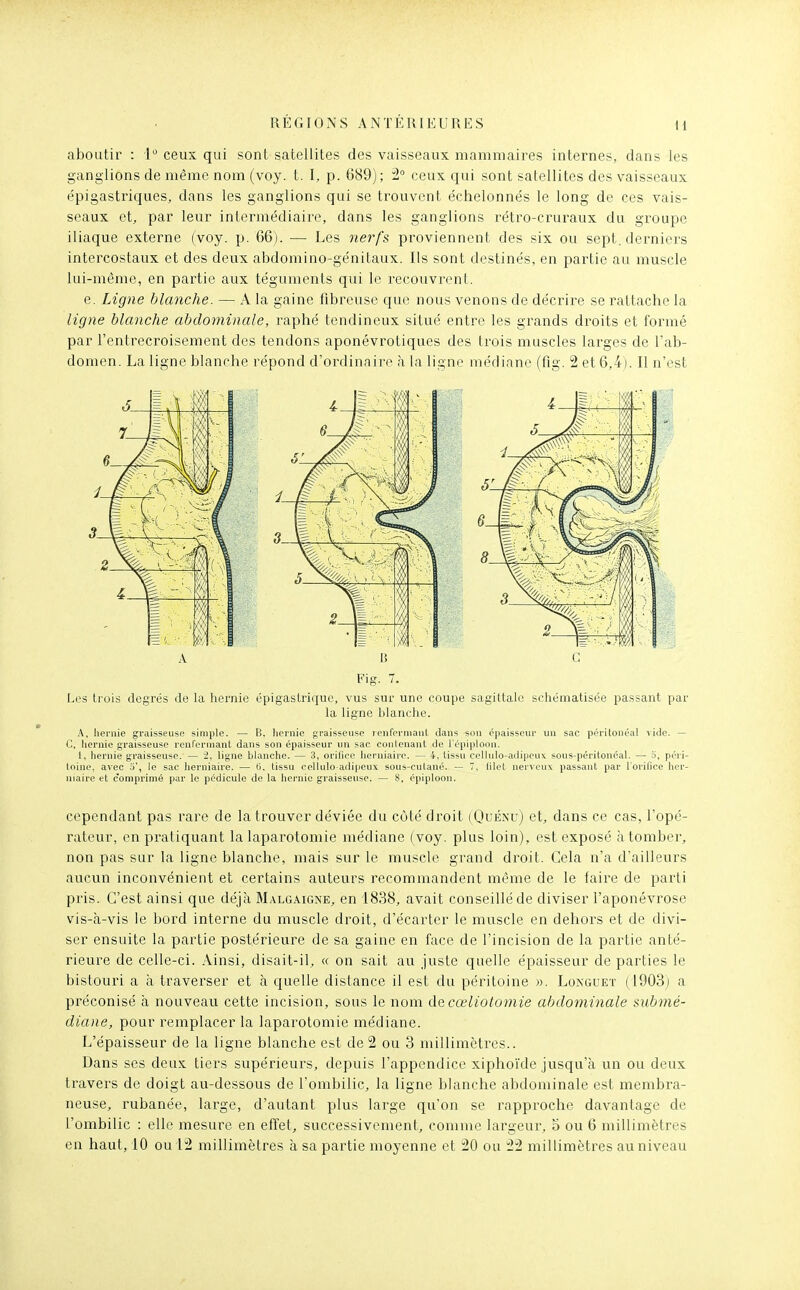 aboutir : 1 ceux qui sont satellites des vaisseaux mammaires internes, dans les ganglions de même nom (voy. t. I, p. 689); 2° ceux qui sont satellites des vaisseaux e'pigastriques, dans les ganglions qui se trouvent échelonnés le long de ces vais- seaux et, par leur intermédiaire, dans les ganglions rétro-cruraux du groupe iliaque externe (voy. p. 66). — Les nerfs proviennent des six ou sept, derniei's intercostaux et des deux abdomino-génitaux. Ils sont destinés, en partie au muscle lui-même, en partie aux téguments qui le recouvrent. e. Ligne blanche. — A la gaine fibreuse que nous venons de décrire se rattache la ligne blanche abdominale, raphé tendineux situé entre les grands droits et formé par l'entrecroisement des tendons aponévrotiques des trois muscles larges de l'ab- domen. La ligne blanche répond d'ordinaire à la ligne médiane (fig. 2 et 6,4). Il n'est Les trois degrés de la hernie épigastrique, vus sur une coupe sagittale schématisée passant par la ligne blanche. .\, lieniie graisseuse simple. — B, Iiernie graisseuse icnfornianl clans son épaisseur un sac péritonéal vide. — C, Iiernie graisseuse renfermant dans son épaisseur un sac coulonanl de l'épiploon. 1, hernie graisseuse. — 2, ligne blanche. — 3, oritice lierniaii-e. — 4, lissu cellulo-adipeu\ sous-péritonéal. — 5, péri- toine, avec 3', le sac iierniaire. — (i. tissu cellule adipeux sous-cutaué. — 7, lilet nerveux passant par l'orifice lier- niaire et comprimé par le pédicule de la hei'nic graisseuse. — 8, t'piploon. cependant pas rare de la trouver déviée du cùté droit (Quénu) et, dans ce cas, l'opé- rateur, en pratiquant la laparotomie médiane (voy. plus loin), est exposé à tomber, non pas sur la ligne blanche, mais sur le muscle grand droit. Cela n'a d'ailleurs aucun inconvénient et certains auteurs recommandent même de le faire de parti pris. C'est ainsi que déjà Malgaigne, en 1838, avait conseillé de diviser l'aponévrose vis-à-vis le bord interne du muscle droit, d'écarter le muscle en dehors et de divi- ser ensuite la partie postérieure de sa gaine en face de l'incision de la partie anté- rieure de celle-ci. Ainsi, disait-il, « on sait au juste quelle épaisseur de parties le bistouri a à travei^ser et à quelle distance il est du péritoine ». Loisguet (1903; a préconisé à nouveau cette incision, sous le nom decœiiotomie abdominale submé- diane, pour remplacer la laparotomie médiane. L'épaisseur de la ligne blanche est de 2 ou 3 millimètres.. Dans ses deux tiers supérieurs, depuis l'appendice xiphoïde jusqu'à un ou deux travers de doigt au-dessous de l'ombilic, la ligne blanche abdominale est membra- neuse, rubanée, large, d'autant plus large qu'on se rapproche davantage de l'ombilic : elle mesure en effet., successivement, comme largeur, 5 ou 6 millimètres en haut, 10 ou 12 millimètres à sa partie moyenne et 20 ou 22 millimètres au niveau