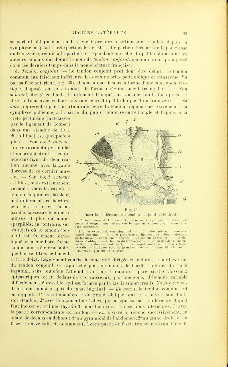 se portant obliquement en bas, vient prendre insertion sur le pubis, depuis la symphyse jusqu'à la crête pectinéale : c'est à cette partie inférieure de l'aponévrose du transverse, réunie à la partie correspondante de celle du petit oblique que les auteurs anglais ont donné le nom de tendon conjoint, dénomination qui a passé dans ces derniers temps dans la nomenclature française. d. Tendon conjoint. — Le tendon conjoint peut donc être défini : le tendon commun aux faisceaux inférieurs des deux muscles petit oblique et transverse. Vu par sa face antérieure (fig. i25), il nous apparaît sous la forme d'une lame aponévi'o- tique, disposée en sens frontal, de forme irrégulièrement triangulaire. — Son sommet, dirigé en haut et fortement tronqué, n'a aucune limite bien précise : il se continue avec les faisceaux inférieurs du petit oblique et du transverse. — Sa base, représentée par l'insertion inférieure du tendon, répond successivement à la symphyse pubienne, à la partie du pubis comprise entre l'angle et l'épine, à la crête pectinéale (matelassée par le ligament de Cooper) dans une étendue de 10 à 20 millimètres, quelquefois plus. — Son bord interne, situé en avant du pyramidal et du grand droit se conti- nue sans ligne de démarca- tion aucune avec la gaine fibreuse de ce dernier mus- cle. — Son bord externe est libre, mais extrêmement variable : dans les cas oii le tendon conjoint est faible et mal différencié, ce bord est peu net, car il est formé par des faisceaux tendineux minces et plus ou moins éparpillés; au contraire, sur les sujets où le tendon con- joint est fortement déve- loppé, ce même bord forme comme une arête résistante, que l'on sent très nettement avec le doigt. Légèrement courbe à concavité dirigée en dehors, le bord externe du tendon conjoint se rapproche plus ou moins de l'orifice intei'ne du canal inguinal, sans toutefois l'atteindre : il en est toujours séparé par les vaisseaux épigastriques, et en dedans de ces vaisseaux, par une zone, d'étendue variable et facilement dépressible, qui est formée par le fascia transversalis. Nous y revien- drons plus loin à propos du canal inguinal. — En avant, le tendon conjoint est en rapport : 1° avec l'aponévrose du grand oblique, qui le recouvre dans toute son étendue ; 2° avec le ligament de Colles, qui masque sa partie inférieure et qii'il faut inciser et récliner (fig. 25,l]) pour bien voir ses insertions inférieures; 3° avec la partie correspondante du cordon. — En arrière, il répond successivement, en allant de dedans en dehors : 1° au pyramidal de l'abdomen ; 2° au grand droit ; 3° au fascia transversalis et, notamment, à cette partie du fascia transversalis qui longe le Fig. 25. Insertion inférieure du tendon conjoint (côté droit). (Partie grossie Je la fisiire 24; en outre, le ligament de Colles a tié incisé et crigné pour laisser voir le ligament conjoint, qui répond à ba face postérieure). 1, pilier e.\terne du canal inguinal. — 2. 2', pilier interne, incisé à sa partie moyenne. — 3, pilier postérieur ou ligament de Colles, incisé à sa partie moyenne et fortement éi'igné. — 4, ligament de Cooper. — a, tendon du pclit ol)lique. — 6, tendon du transverse. — 7, union des deux tendons. — 8, 8', tendon conjoint. — 0, libres ilio-pubiennes. — 10, fascia trans- versalis. — 11, aponévrose du grand obli(pie. — 12, ligne blanche. — 13, ligament susjicnseur de la verge.