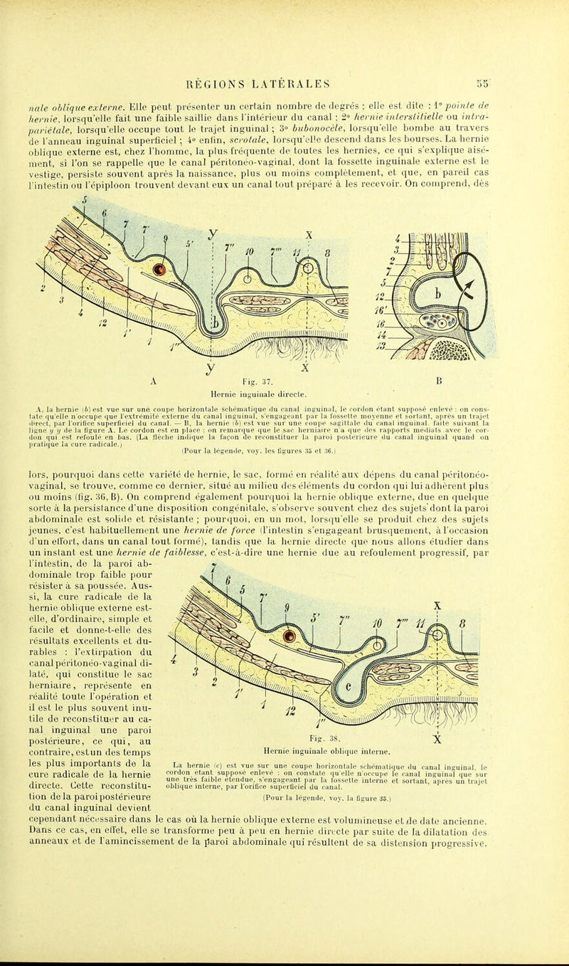 nale oblique externe. Elle peut présenter un certain nombre de degrés ; elle est dite : 1 pointe de hernie, lorsqu'elle fait une faible saillie dans l'intérieur du canal : 2» hernie interstitielle ou intra- pariétale, lorsqu'elle occupe tout le trajet inguinal ; 3» bubonoccle, lorsqu'elle bombe au travers de l'anneau inguinal superficiel ; 4» enlin, scrotale, lorsqu'elle descend dans les bourses. La hernie oblique externe est, chez l'homme, la plus fréquente de toutes les hernies, ce qui s'explique aisé- ment, si l'on se rappelle que le canal péritonéo-vaginal, dont la fossette inguinale externe est le vestige, persiste souvent api'ès la naissance, plus ou moins complètement, et que, en pareil cas l'intestin ou l'épiploon trouvent devant eux un canal tout préparé à les recevoir. On comprend, dès A Fig. 37. B Hernie inguinale directe. .K, la hernie [b] est vue sur une coupe horizontale schématique du canal inguinal, le cordon étant supposé enlevé : on cons- tate qu'elle n'occupe que l'extrémité externe du canal inguinal, s'engageant par la fossette moyenne et sortant, après un trajet direct, par l'orifice superficiel du canal. — B, la hernie (6} est vue sur une coupe sagittale du canal inguinal, faite suivant la ligne y y de la figure A. Le cordon est en place : on remarque que le sac herniaire n'a que des rapports médiats .avec le cor- don qui est refoulé en bas. (La llèche indique la façon de reconstituer la paroi postérieure du canal inguinal quand on pratique la cure radicale.j (Pour la légende, voy. les figures 35 et .'îe.i lors, pourquoi dans cette variété de hernie, le sac, formé en réalité aux dépens du canal péritonéo- vaginal, se trouve, comme ce dernier, situé au milieu des éléments du cordon qui lui adhèrent plus ou moins (iîg. 36, B). On comprend également pourquoi la hernie oblique externe, due en quelque sorte à la persistance d'une disposition congénitale, s'obsei've souvent chez des sujets'dont la paroi abdominale est solide et résistante ; pourquoi, en un mot, lorsqu'elle se produit chez des sujets jeunes, c'est liabituellenient une hernie de force (l'intestin s'engageant brusquement, à l'occasion d'un elfort, dans un canal tout formé), tandis que la hernie directe que nous allons étudier dans un instant est une liernie de faiblesse, c'est-ii-dire une hernie due au refoulement progressif, par l'intestin, de la paroi ab- dominale trop faible pour résister à sa poussée. Aus- si, la cure radicale de la hernie oblique externe est- elle, d'ordinaire, simple et facile et donne-t-elle des résultats excellents et du- rables : l'extirpation du canal péritonéo-vaginal di- laté, qui constitue le sac herniaire, l'eprésente en réalité toute l'opération et il est le plus souvent inu- tile de reconstituer au ca- nal inguinal une paroi postérieure, ce qui, au contraire, estun des temps les plus importants de la cure radicale de la hernie directe. Cette reconstitu- tion delà paroi postérieure du canal inguinal devient cependant nécessaire dans le cas où la hernie oblique externe est volumineuse et de date ancienne. Dans ce cas, en eli'et, elle se transforme peu à peu en hernie directe par suite de la dilatation des anneaux et de l'amincissement de la jîaroi abdominale qui résultent de sa distension progressive. Fi». 38. Hernie inguinale obliffue interne. La hernie le) est vue sur une coupe horizontale schématique du canal inguinal le cordon étant supposé enlevé : on constate qu'elle n'occupe le canal inguinal que sur une très faible étendue, s'engageant par la fossette interne et sortant, après un trajet oblique interne, par l'orifice superficiel du canal. (Pour la légende, voy. la figure 35.)