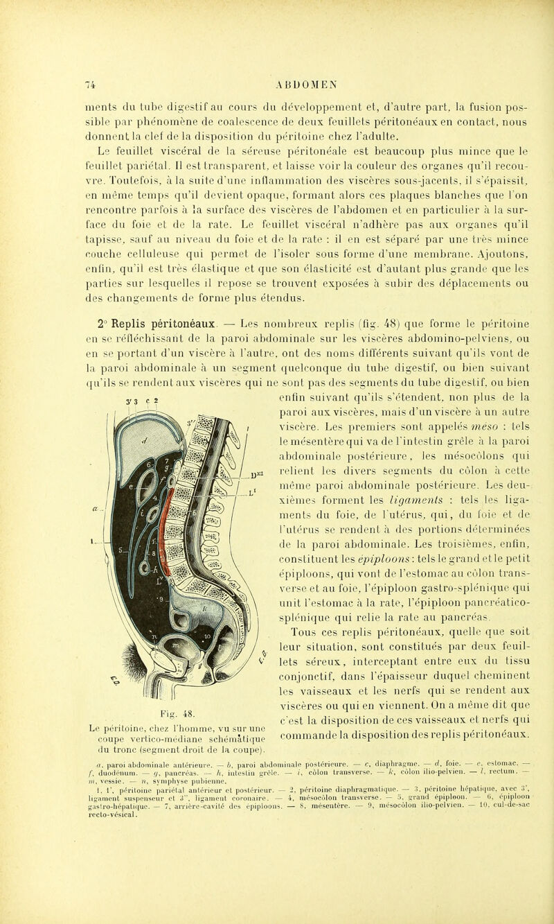 monts du tube digestif au cours du développement et, d'autre part, la fusion pos- sible par phénomène de coalescence de deux feuillets péritonéaux en contact, nous donnent la clef de la disposition du péritoine chez l'adulte. Le feuillet viscéral de la séreuse péritonéale est beaucoup plus mince que le feuillet pariétal. Il est transparent, et laisse voir la couleur des organes qu'il recou- vre. Toutefois, à la suite d'une inflammation des viscères sous-jacents. il s'épaissit,, en même temps qu'il devient opaque, formant alors ces plaques blanches que l'on rencontre parfois à la surface des viscères de l'abdomen et en particulier à la sur- face du foie et de la rate. Le feuillet viscéral n'adhère pas aux organes qu'il tapisse, sauf au niveau du foie et de la rate : il en est séparé par une très mince couche celluleuse qui permet de l'isoler sous forme d'une membrane. Ajoutons, enfin, qu'il est très élastique et que son élasticité est d'autant plus grande que les parties sur lesquelles il repose se trouvent exposées à subir des déplacements ou des changements de forme plus étendus. 2'' Replis péritonéaux. — Les nomln-eux replis (fig. 48) que forme le péritoine en se réfléchissant de la paroi abdominale sur les viscères abdomino-pelviens, ou en se portant d'un viscère à l'autre, ont des noms différents suivant qu'ils vont de la paroi abdominale à un segment quelconque du tube digestif, ou bien suivant qu'ils se rendent aux viscères qui ne sont pas des segments du tube digestif, ou bien enfin suivant qu'ils s'étendent, non plus de la paroi aux viscères, mais d'un viscère à un autre viscère. Les premiers sont appelés méso : tels le mésentère qui va de l'intestin grêle à la paroi abdominale postérieure, les mésocôlons qui relient les divers segments du côlon à celte même paroi abdominale postérieure. Les deu- xièmes forment les ligaments : tels les liga- ments du foie, de l'utérus, qui, du foie et de l'utérus se rendent à des portions déterminées de la paroi abdominale. Les troisièmes, enfin, constituent les épiploons : tels le grand et le petit épiploons, qui vont de l'estomac au côlon trans- verse et au foie, l'épiploon gastro-splénique qui unit l'estomac à la rate, l'épiploon pancréatico- splénique qui relie la rate au pancréas. Tous ces replis péritonéaux, quelle que soit leur situation, sont constitués par deux feuil- lets séreux, interceptant entre eux du tissu conjonctif, dans l'épaisseur duquel cheminent les vaisseaux et les nerfs qui se rendent aux viscères ou qui en viennent. On a même dit que Fig. 48. • . , T x- 1 • , e ■ c est la disposition de ces vaisseaux et nerts qui Le péritoine, chez rhomme, vu sur une , , ,. ... , i- - -i ^ coupe vertico-mediane schématique commande la disposition des replis péritonéaux. du tronc (segment droit de la coupe). a. paroi abdominale antérieure. — b, paroi al)domiiiale postérieure. — c. diaphragme. — d, foie. — e. estomac. — /', duodénum. — //, pancréas. — h, intestin grclc. — (, côlon transverse. — k, côlon ilio-pelvien. — l, rectum. — ï7!, vessie. — n, symphyse pubienne. 1, 1, péritoine pariétal antérieur et postérieur. — 2, péritoine diapln-agmatique. — 3, péritoine hépatique, avec 3', ligament suspenseur et i. ligament coronaire. — 4, mésocôlon transverse. — '-i. grand épiploon. — (i, épiploon g,islro-hépatii|uo. — 7, arrière-cavité des épiploons. — S, mésentère. — 0, niésocôlon ilio-pelvien. — 10, cul-de-sac recto-vésical.