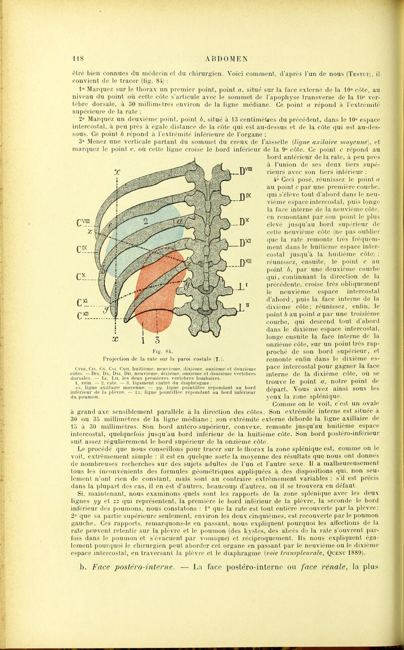 êtré bien connues du médecin et du chirurgien. Voici comment, d'après l'un de nous (Testl-t), il convient de le tracer (fig. 84) : i» Marquez sur le thorax un premier point, point a, situé sur la face externe de la 10» côte, au niveau du point où cette côte s'articule avec le sommet de l'apophyse transverse de la 10» ver- tèbre dorsale, à 30 millimètres environ de la ligne médiane. Ce point a répond à l'extrémité supérieure de la rate : 2° Marquez un deuxième point, point h. situé à 13 centimèti'es du précédent, dans le 10= espace intercostal, à peu près à, égale distance de la côte qui est au-dessus et de la côte qui est au-des- sous. Ce point b répond à l'extrémité inférieure de l'organe : 3° Menez une verticale partant du sommet du creux de l'aisselle [ligne asilaire moyenne), et marquez le point c, où cette ligne croise le bord inférieur de la 9= côte. Ce point c répond au bord antérieur delà rate, à peu près à l'union de ses deux tiers supé- rieurs avec son tiers inférieur : 4° Ceci posé, réunissez le point a au point c par une première courbe, qui s'élève tout d'abord dans le neu- vième espace intercostal, puis longe la face interne de la neuvième côte, en remontant par son point le plus élevé jusqu'au bord supérieur de cette neuvième côte (ne pas oublier que la rate remonte très fréquem- ment dans le huitième espace inter- costal jusqu'à la huitième côte) : réunissez, ensuite, le point c au point h, par une deuxième courbe qui, continuant la direction de la précédente, croise très obliquement le neuvième espace intercostal d'abord, puis la face interne de la dixième côte; réunissez, enfin, le point b au point a par une troisième courbe, qui descend tout d'abord dans le dixième espace intercostal, longe ensuite la face interne de la onzième côte, sur un point très rap- proché de son bord supérieur, et remonte enfin dans le dixième es- pace intercostal pour gagner la face interne de la dixième côte, où se trouve le point a, notre point de départ. Vous avez ainsi sous les yeux la zone splénique. Comme on le voit, c'est un ovale à grand axe sensiblement parallèle à la direction des côtes. Son extrémité interne est située à 30 ou 35 millimètres de la ligne médiane : son extrémité externe déborde la ligne axillaire de lo à 30 millimètres. Son bord antéro-supérieur, convexe, remonte jusqu'au huitième espace intercostal, quelquefois jusqu'au bord inférieur de la huitième côte. Son bord postéro-inférieur suit assez régulièrement le bord supérieur de la onzième côte. Le procédé que nous conseillons pour tracer sur le thorax la zone splénique est, comme on le voit, extrêmement simple : il est en quelque sorte la moyenne des résultats que nous ont donnes de nombreuses recherches sur des sujets adultes de l'un et l'autre sexe. Il a malheureusement tous les inconvénients des formules géométriques appliquées à des dispositions qui. non seu- lement n'ont rien de constant, mais sont au contraire extrêmement variables : s'il est précis dans la plupart des cas, il en est d'autres, beaucoup d'autres, où il se trouvera en défaut. Si, maintenant, nous examinons quels sont les rapports de la zone splénique avec les deux lignes yy et zz qui représentent, la première le bord inférieur de la plèvre, la seconde le bord inférieur des poumons, nous constatons : 1° que la rate est tout entière recouverte par la plèvre; 2° que sa partie supérieure seulement, environ les deux cinquièmes, est recouverte parle poumon gauche. Ces rapports, remarquons-le en passant, nous expliquent pourquoi les affections de la rate peuvent retentir sur la plèvre et le poumon (des kystes, des abcès de la rate s'ouvrent par- fois dans le poumon et s'évacuent par vomique) et réciproquement. Ils nous expliquent éga- lement pourquoi le chirurgien peut aborder cet organe en passant par le neuvième ou lo dixième espace intei'costal, en traversant la plèvre et le diaphragme [voie trunspleurale, Quénu 1889). Fig. 84. Projection de la rate sur la paroi costale (T.). Cviii, Cix. Cx. Cxi, Cx[i, huitième, neuvième, dixième, onzième et douzième côtes. — Dix, Dx, Dxi, ûir, neuvième, dixième, onzième et flouzième vertèi>res dorsales. — Li. Lu, les deux premières verteinps lombaires. 1, rein. — 5, rate. — 3, ligament cintré du diaplirjiiiine. XX, ligne axillaire moyenne. — yy. lifiiie pointillce répondant au bord inférieur de la plèvre. zz, liijne pointiilee répondant au bord inférieur du poumon. b. Face postéro-interne. — La face postéro-internc ou face rénale, la plus