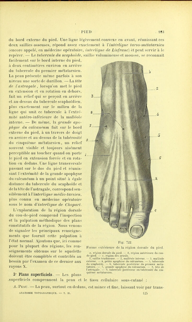 du bord externe du pied. Une ligne légèrement convexe en avant, réunissant ces deux saillies osseuses, répond assez exactement à Vinté7'ligne tarso-métatarsien (encore appelé, en médecine opératoire, interligne de Lisfranc) et peut servir à le repérer. — Le tubercule du scaphoïde, saillie volumineuse et mousse, se reconnaît facilement sur le bord interne du pied, à deux centimètres environ en arrière du tubercule du premier métatarsien. La peau présente même parfois à son niveau une sorte de durillon. —^La tête de l'astragale, lorsqu'on met le pied en extension et en rotation en dehors, fait un relief qui se perçoit en arrière et au-dessus du tubercule scaphoïdien, plus exactement sur le milieu de la ligne qui unit ce tubercule à Textré- mité antéro-inférieure de la malléole interne. — De même, la grande apo- physe du calcanéum fait sur le bord externe du pied, à un travers de doigt en arrière et au-dessus de la tubérosité du cinquième métatarsien, un relief souvent visible et toujours aisément perceptible au toucher quand on porte le pied en extension forcée et en rota- tion en dedans. Une ligne transversale passant sur le dos du pied et réunis- sant l'extrémité de la grande apophyse du calcanéum à un point situé à égale distance du tubercule du scaphoïde et de la tête de l'astragale, correspond sen- siblement à Vinterligne médio-tarsien, plus connu en médecine opératoire sous le nom d'interligne de Chopart. L'exploration de la région dorsale du cou-de-pied comprend l'inspection et la paipation méthodique des plans constitutifs de la région. Nous venons de signaler les principaux renseigne- ments que fournit cette paipation h l'état normal. Ajoutons que, ici comme pour la plupart des régions, les ren- seignements obtenus sur le squelette doivent être complétés et contrôlés au besoin par l'examen de ce dernier aux rayons X. Fig. 722. Forme extérieure de la région dorsale du pied. a, rd'Rion dorsale du pied. — b, région antérieure du cou- de-pied. — c\ région des orteils. i, saillie tendineuse. — 2, malléole interne. — 3, malléole externe. — 4, petite apophyse du calcanéum. — 3. tubercule du scaphoïde. — 6, tubercule postérieur du premier méta- tarsien. — 7, grande apophyse du calcanéum. — 8, tête de l'astragale. — 9, tubercule postérieur ou tubérosité du cin- quième métatarsien. 3 Plans superficiels. — Les plans .superficiels comprennent la peau et le tissu cellulaire sous-cutané : A. Pe.\u. — La peau, surtout en dedans, est mince et flne, laissant voir par trans- AN.VTO.MIE TOPOGrt.iPHlQUE. — T. I[. 125