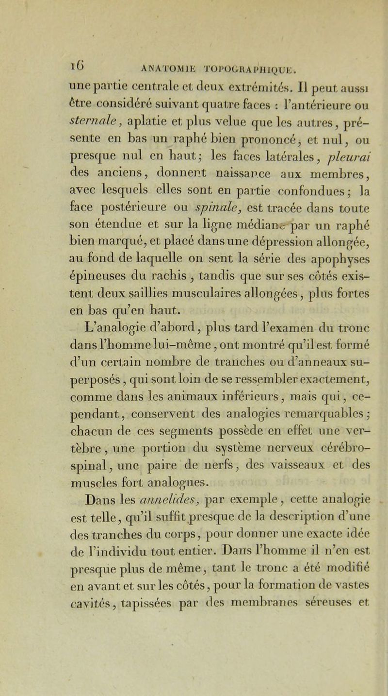 une partie centrale et deux extréinltAs. 11 peut aussi être considéré suivant cpjatre faces : l’antérieure ou sternale, aplatie et plus velue que les autres, pré- sente en bas un raphé bien prononcé, et nul, ou presque nul en hautj les faces latérales, pleurai des anciens, donnent naissance aux membres, avec lesquels elles sont en partie confondues ; la face postérieure ou spinale, est tracée dans toute son étendue et sur la ligne médiane par un raphé bien marqué, et placé dans une dépression allongée, au fond de laquelle on sent la série des apophyses épineuses du rachis , tandis que sur ses cotés exis- tent deux saillies musculaires allongées, plus fortes en bas qu’en haut. L’analogie d’abord, plus tard l’examen du tronc dans l’homme lui-même, ont montré qu’il est formé d’un certain nombre de tranches ou d’anneaux su- perposés , qui sont loin de se ressembler exactement, comme dans les animaux inférieurs, mais qui, ce- pendant, conservent des analogies remarquables ; chacun de ces segments possède en effet une ver- tèbre , une portion du système nerveux cérébro- spinal, une paire de nerfs, des vaisseaux et des muscles fort analogues. Dans les annelides, par exemple, cette analogie est telle, qu’il suffit presque de la description d’une des tranches du corps, pour donner une exacte idée de l’individu tout entier. Dans l’homme il n’en est presque plus de même, tant le tronc a été modifié en avant et sur les côtés, pour la formation de vastes cavités, tapissées par des membranes séreuses et