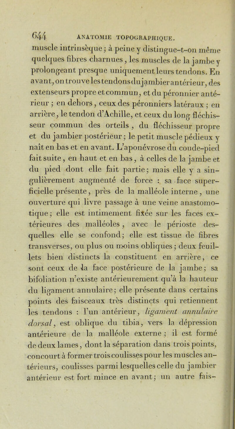 muscle iiitriusèqiie j à peine y distiiigue-t-on même quelques fibres cliarniies, les muscles de la jambe y prolongeant presque uniquement leurs tendons. En avant;, on trouve les tendonsdujambierantérieur, des extenseurs propre et commun, et du péronnier anté- rieur j en dehors, ceux des péronniers latéraux ; en arrière, le tendon d’Achille, et ceux du long fléchis- seur commun des orteils , du fléchisseur propre et du jambier postérieur ; le petit muscle pédieux y naît en bas et en avant. L’aponévrose du coude-pied fait suite, en haut et en bas, à celles de la jambe et du pied dont elle fait partie; mais elle y a sin- gulièrement augmenté de force : sa face super- ficielle présente, près de la malléole interne, une ouverture qui livre passage à une veine anastomo- tique; elle est intimement fixée sur les faces ex- térieures des malléoles, avec le périoste des- quelles elle se confond; elle est tissue de fibres transverses, ou plus ou moins obliques ; deux feuil- lets bien distincts la constituent en arrière, ce sont ceux de la face postérieure de la jambe; sa bifoliation n’existe antérieurement qu’à la hauteur du ligament annulaire ; elle présente dans certains points des faisceaux très distincts qui retiennent les tendons : l’un antérieur, ligament annulaire dorsal, est oblique du tibia, vers la dépression anlirieure de la malléole externe ; il est formé de deux lames, dont la séparation dans trois points, concourt à former trois coulisses pour les muscles an- térieurs, coulisses parmi lesquelles celle du jambier antérieur est fort mince en avant; un autre fais-