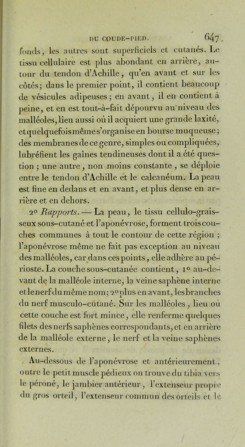 fonds, les autres sont snpcrlicicis et entanés. Le (issu cellulaire est plus abondant en arrière, au- tour du tendon d’Achille, qn’en avant et sur les côtés; dans le premier point, il contient beaucoup de vésicules adipeuses ; en avant, il en contient à peine, et en est tout-à-fait dépourvu au’niveau des malléoles, lieu aussi où il acquiert une grande laxité, et quelquefois même s’organise en bourse muqueuse ; des membranes de ce genre, simples ou compliquées, lubréfient les gaines tendineuses dont il a été ques- tion ; une autre, non moins constante, se déploie entre le tendon d’Achille et le calcanéum. La peau est fine en dedans et en avant, et plus dense en ar- rière et en dehors. Rapports. — La peau, le tissu cellulo-grais- seux sous-cutané et l’aponévrose, forment trois cou- ches communes à tout le contour de cette région ; l’aponévrose même ne fait pas exception au niveau des malléoles, car dans ces points, elle adhère au pé- rioste. La couche sous-cutanée contient, i° au-de- vant de la malléole interne, la veine saphène interne etlenerfdumême nom; ^oplus en avant, lesbranches du nerf musculo-cutané. Sur les malléoles , lieu où cette couche est fort mince, elle renferme quelques filets des nerfs saphènes correspondants, et en arrière de la malléole externe, le nerf et la veine saphènes externes. , Au-dessous de l’aponévrose et antérieurement, outre le petit muscle pédieux on trouve du tibia \crs le j)éroné, le jambier antérieur, l’extenseur proj)i(‘ (lu gros orteil, l’extenseur ( (mimuii des orteils et le