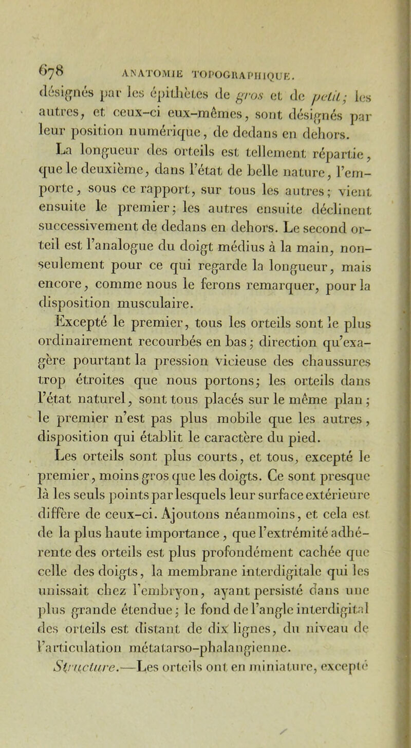 ^->7^ ANATOMJlî TOI'OGRAf'IIlQUK. (lési(;n(*s par les épiÜièLes de ^ros et de fjctiL; l(3s autres, et ceux-ci eux-mêmes, sont désif^nés par leur position riumérique, de dedans en dehors. La longueur des orteils est tellement répartie, que le deuxième, dans Tétât de belle nature, l’em- porte, sous ce rapport, sur tous les autres; vient ensuite le premier; les autres ensuite déclinent successivement de dedans en dehors. Le second or- teil est l’analogue du doigt médius à la main, non- seulement pour ce qui regarde la longueur, mais encore, comme nous le ferons remarquer, pour la disposition musculaire. Excepté le premier, tous les orteils sont le plus ordinairement recourbés en bas ; direction qu’exa- gère pourtant la pression vicieuse des chaussures trop étroites que nous portons; les orteils dans l’état naturel, sont tous placés sur le même plan; le premier n’est pas plus mobile que les autres, disposition qui établit le caractère du pied. Les orteils sont plus courts, et tous, excepté le premier, moins gros que les doigts. Ce sont presque là les seuls points par lesquels leur surface extérieure diffère de ceux-ci. Ajoutons néanmoins, et cela est de la plus haute importance , que l’extrémité adhé- rente des orteils est plus profondément cachée que celle des doigts, la membrane interdigitale qui les unissait chez Tembryon, ayant persisté dans une plus grande étendue; le fond de l’angle interdigit.d des orteils est distant de dix! lignes, du niveau de Taiticulation métatarso-phalangienne. Sijitclure.—Les orteils ont en juiniature, excepté