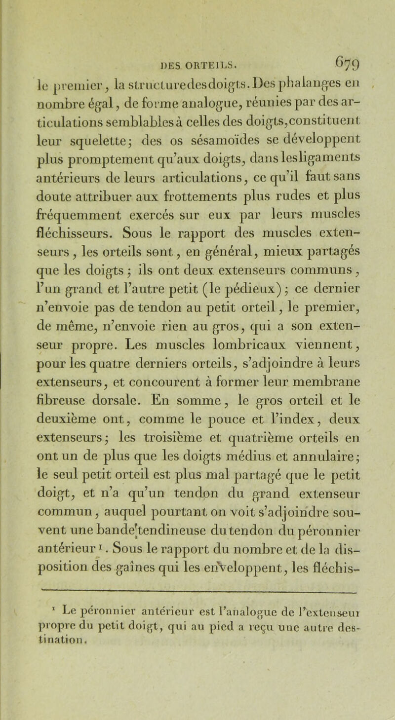 lü premier, la slriicluredesdoigls.Desplialaii^es ej) , nombre égal, de forme analogue, réunies par des ar- ticulations semblables à celles des doigts,constituent leur squelette; des os sésamoïdes se développent plus promptement qu’aux doigts, danslesligameiits antérieurs de leurs articulations, ce qu’il faut sans doute attribuer aux frottements plus rudes et plus fréquemment exercés sur eux par leurs muscles fléchisseurs. Sous le rapport des muscles exten- seurs , les orteils sent, en général, mieux partagés que les doigts ; ils ont deux extenseurs communs, l’un grand et l’autre petit (le pédieux) ; ce dernier n’envoie pas de tendon au petit orteil, le premier, de même, n’envoie rien au gros, qui a son exten- seur propre. Les muscles lombricaux viennent, pour les quatre derniers orteils, s’adjoindre à leurs extenseurs, et concourent à former leur membrane fibreuse dorsale. En somme, le gros orteil et le deuxième ont, comme le pouce et l’index, deux extenseurs; les troisième et quatrième orteils en ont un de plus que les doigts médius et annulaire; le seul petit orteil est plus mal partagé que le petit doigt, et n’a qu’un tendon du grand extenseur commun, auquel pourtant on voit s’adjoindre sou- vent une bande'tendineuse du tendon dupéronnier antérieur ^. Sous le rapport du nombre et de la dis- position des gaines qui les enveloppent, les fléchis- ‘ Le péronnicr antérieur est l’analogue de l’exteuseui propre du petit doigt, qui au pied a reçu uue autre des- tination.