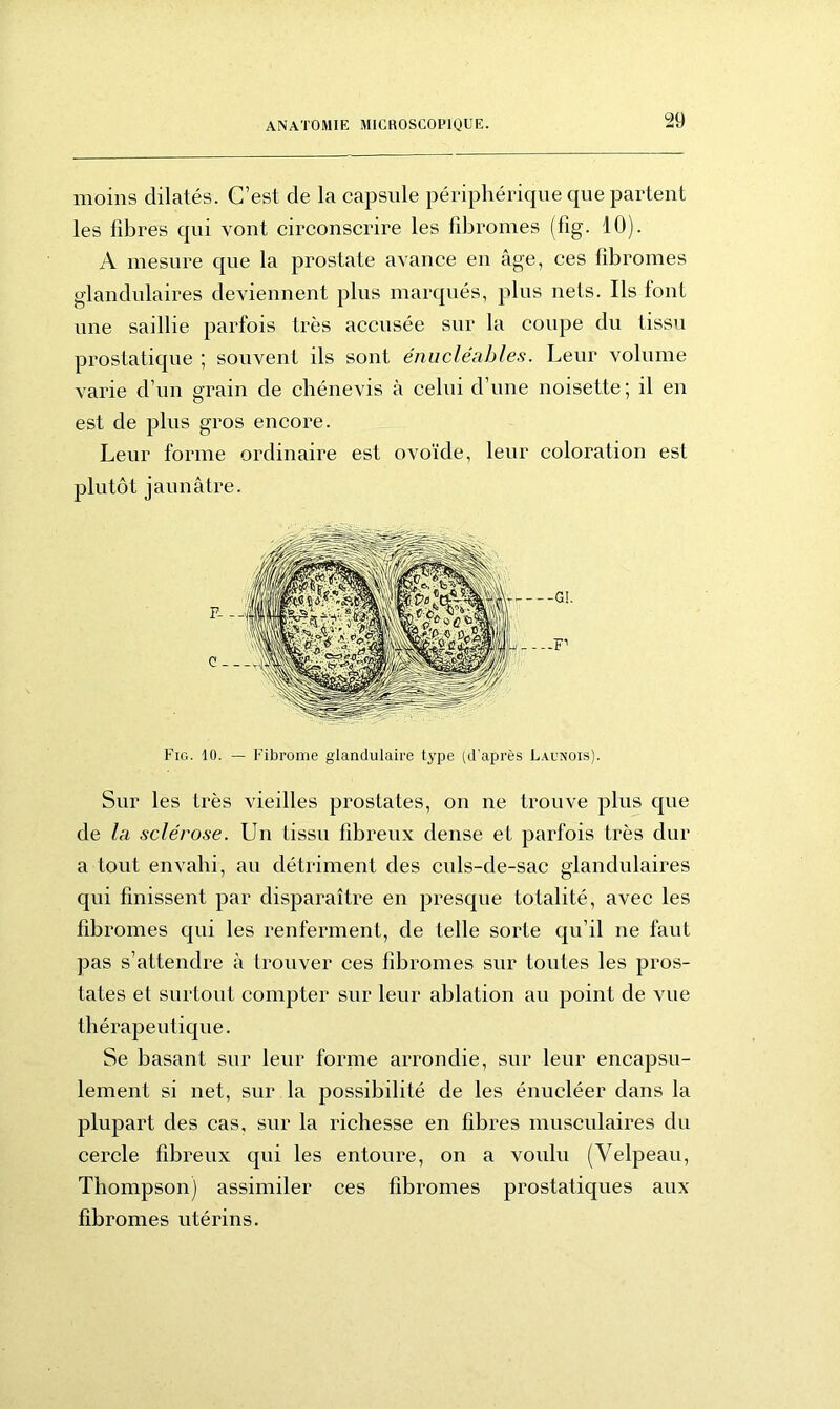moins dilatés. C’est de la capsule périphérique que partent les libres qui vont circonscrire les fibromes (fig. 10). A mesure cpie la prostate avance en âge, ces fibromes glandulaires deviennent plus marqués, plus nets. Ils font une saillie parfois très accusée sur la coupe du tissu prostatique ; souvent ils sont énucléahles. Leur volume varie d’un grain de cbénevis à celui d’une noisette; il en est de plus gros encore. Leur forme ordinaire est ovoïde, leur coloration est plutôt jaunâtre. Fig. 1U. — Fibrome glandulaire t3Tpe (d’après Launois). Sur les très vieilles prostates, on ne trouve plus que de la, sclérose. Un tissu fibreux dense et parfois très dur a tout envahi, au détriment des culs-de-sac glandulaires qui finissent par disparaître en presque totalité, avec les fibromes qui les renferment, de telle sorte qu’il ne faut pas s’attendre à trouver ces fibromes sur toutes les pros- tates et surtout compter sur leur ablation au point de vue thérapeutique. Se basant sur leur forme arrondie, sur leur encapsu- lement si net, sur la possibilité de les énucléer dans la plupart des cas, sur la richesse en fibres musculaires du cercle fibreux qui les entoure, on a voulu (Velpeau, Thompson) assimiler ces fibromes prostatiques aux fibromes utérins.