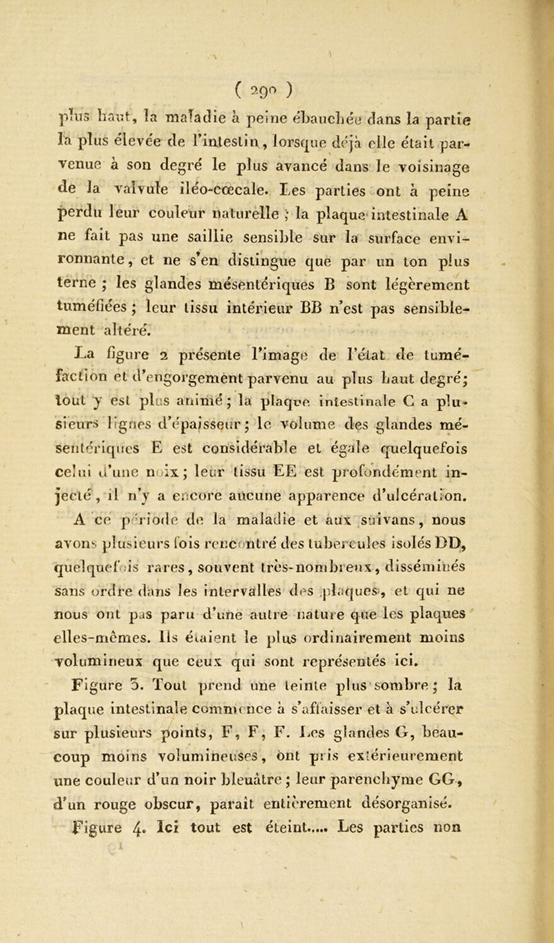 \ ( 290 ) plus haut', la maladie à peine ébauchée dans la partie la plus élevée de l’intestin, lorsque déjà elle était par- venue à son degré le plus avancé dans le voisinage de la valvule iléo-cœcale. Les parties ont à peine perdu leur couleur naturelle la plaque intestinale A ne fait pas une saillie sensible sur la surface envi- ronnante , et ne s’en distingue que par un ton plus terne ; les glandes mésentériques B sont légèrement tuméfiées ; leur tissu intérieur BB n’est pas sensible- ment altéré. La figure 2 présente l’image de l’état de tumé- faction et d’engorgement parvenu au plus haut degré; tout y est plus anime; la plaque intestinale G a plu- sieurs lignes d’épaisseur; le volume des glandes mé- sentériques E est considérable et égale quelquefois celui d’une noix; leur tissu EE est profondément in- jecté, il n’y a encore aucune apparence d’ulcération. A ce période de la maladie et aux sûivans, nous avons plusieurs lois rencontré des tubercules isolés DD, quelque!’ is rares, souvent très-nombreux, disséminés sans ordre dans les intervalles des plaques, et qui ne nous ont pas paru d’une autre nature que les plaques elles-mcmes. Ils étaient le plus ordinairement moins volumineux que ceux qui sont représentés ici. Figure 5. Tout prend une teinte plus sombre; la plaque intestinale comme nce à s’affaisser et à s’ulcérer sur plusieurs points, F, F, F. Los glandes G, beau- coup moins volumineuses, ont pris extérieurement une couleur d’un noir bleuâtre ; leur parenchyme GG, d’un rouge obscur, parait entièrement désorganisé. Figure 4» ïCl tout est éteint Les parties non