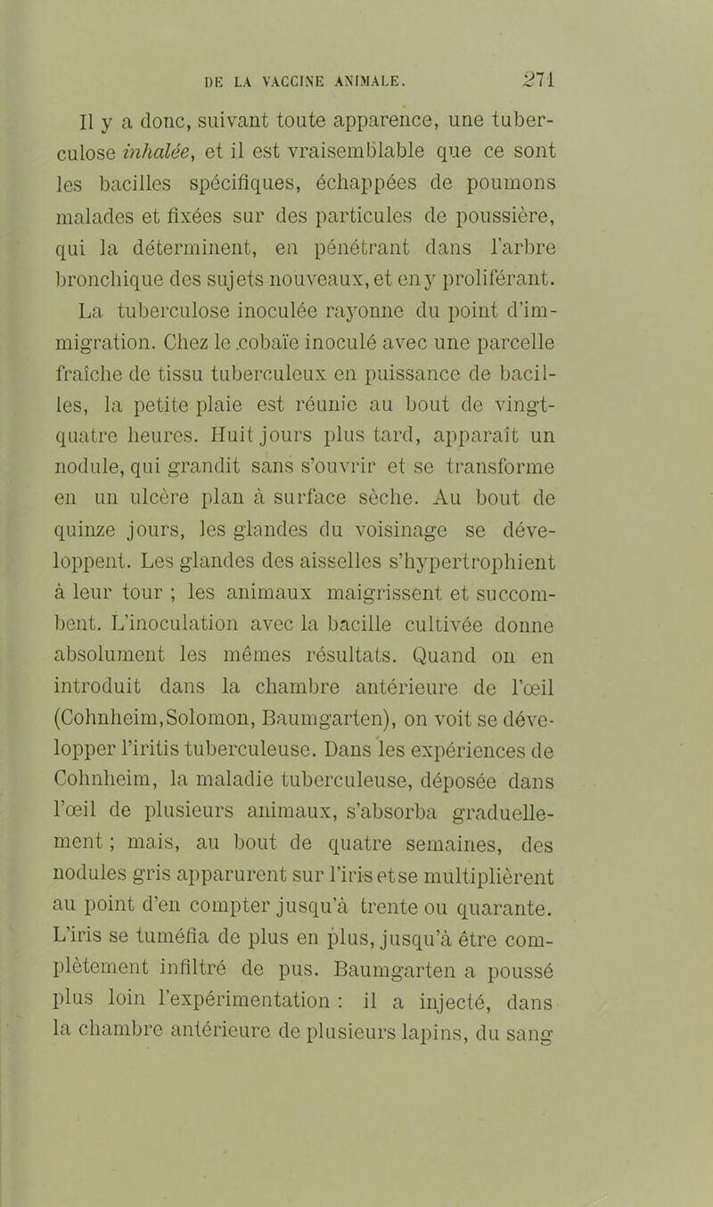 Il y a donc, suivant toute apparence, une tuber- culose inhalée, et il est vraisemblable que ce sont les bacilles spécifiques, échappées de poumons malades et fixées sur des particules de poussière, qui la déterminent, en pénétrant dans l’arbre bronchique des sujets nouveaux, et en y proliférant. La tuberculose inoculée rayonne du point d’im- migration. Chez le.cobaïe inoculé avec une parcelle fraîche de tissu tuberculeux en puissance de bacil- les, la petite plaie est réunie au bout de vingt- quatre heures. Huit jours plus tard, apparaît un nodule, qui grandit sans s’ouvrir et se transforme en un ulcère plan à surface sèche. Au bout de quinze jours, les glandes du voisinage se déve- loppent. Les glandes des aisselles s’hypertrophient à leur tour ; les animaux maigrissent et succom- l)ent. L’inoculation avec la bacille cultivée donne absolument les mêmes résultats. Quand on en introduit dans la chambre antérieure de l’œil (Cohnheim,Solomon, Baumgarten), on voit se déve- lopper l’iritis tuberculeuse. Dans les expériences de Cohnheim, la maladie tuberculeuse, déposée dans l’œil de plusieurs animaux, s’absorba graduelle- ment ; mais, au bout de quatre semaines, des nodules gris apparurent sur l’iris etse multiplièrent au point d’en compter jusqu’à trente ou quarante. L’iris se tuméfia de plus en plus, jusqu’à être com- plètement infiltré de pus. Baumgarten a poussé plus loin l’expérimentation : il a injecté, dans la chambre antérieure de plusieurs lapins, du sang