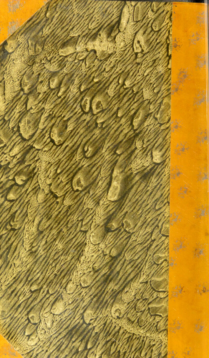 ^Tdi !.‘***\ 'ÆÊ rfl ù3î |flrjJ%‘ -• m