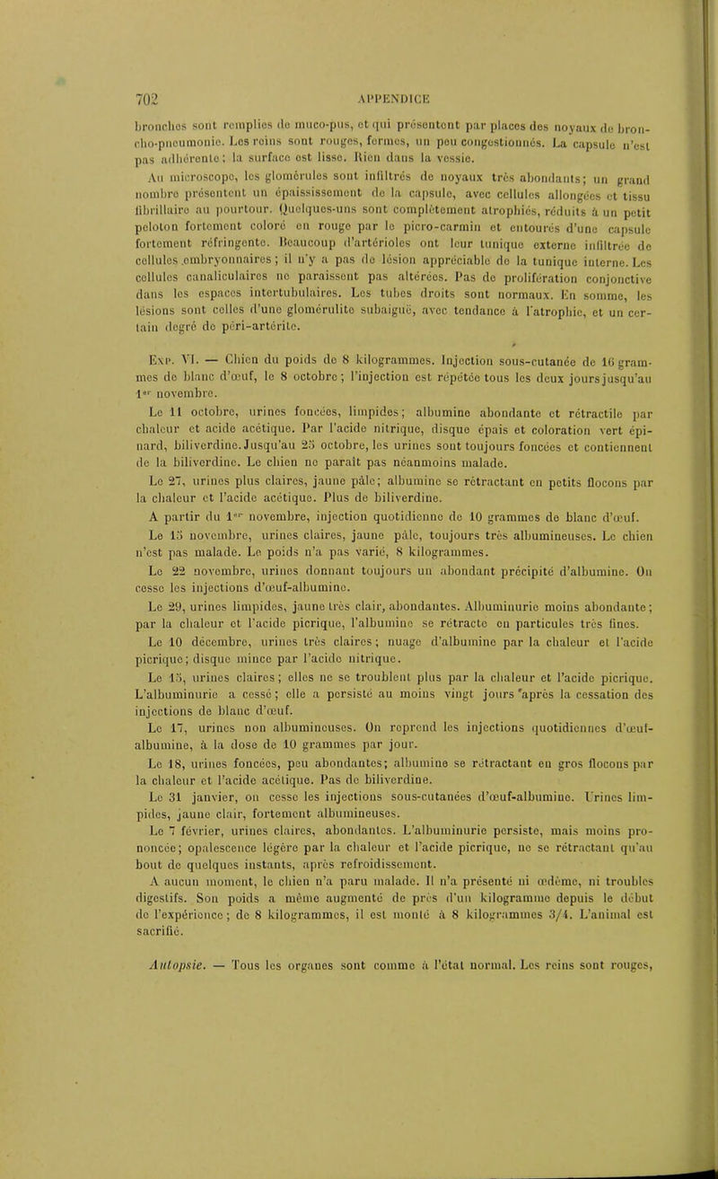 bronches sont remplies do muco-pus, et qui présentent par places des noyaux de bron- cho-pneumonie. Les reins sont rouges, formes, un pou congestionnés. La capsule n’est pas adhérente; la surface est lisse. Rien dans la vessie. Au microscope, les glomôrules sont infiltrés de noyaux très abondants; un grand nombre présentent un épaississement do la capsule, avec cellules allongées et tissu ü b ri lia ire au pourtour. Quelques-uns sont complètement atrophiés, réduits h un petit peloton fortement coloré en rouge par le picro-carmin et entourés d’une capsule fortement réfringente. Beaucoup d’artérioles ont leur tunique externe infiltrée de cellules .embryonnaires ; il n’y a pas do lésion appréciable do la tunique interne. Les collulcs canaliculaires no paraissent pas altérées. Pas de prolifération conjonctive dans les espaces intertubulaires. Les tubes droits sont normaux. En somme, les lésions sont celles d’une glomérulite subaiguë, avec tendance à l'atrophie, et un cer- tain degré do péri-artôrite. E\p. Vf. — Chien du poids de 8 kilogrammes. Injection sous-cutance de 16 gram- mes de blanc d’œuf, le 8 octobre; l’injection est répétée tous les deux jours jusqu’au l»r novembre. Le 11 octobre, urines foncées, limpides; albumine abondante et rétractile par chaleur et acide acétique. Par l’acide nitrique, disque épais et coloration vert épi- nard, biliverdine. Jusqu’au 23 octobre, les urines sont toujours foncées et contiennent de la biliverdine. Le chien no paraît pas néanmoins malade. Le 27, urines plus claires, jaune pâle; albumine se rétractant eu petits flocons par la chaleur et l’acido acétique. Plus de biliverdine. A partir du l“r novembre, injection quotidienne de 10 grammes de blanc d’œuf. Le 15 novembre, urines claires, jaune pâle, toujours très albumineuses. Le chien n’est pas malade. Le poids n’a pas varié, 8 kilogrammes. Le 22 novembre, urines donnant toujours un abondant précipité d’albumine. On cesse les injections d’œuf-albumine. Le 29, urines limpides, jaune très clair, abondantes. Albuminurie moins abondante; par la chaleur et l’acide picrique, l’albumine se rétracte en particules très fines. Le 10 décembre, urines très claires ; nuage d’albumine par la chaleur et l’acide picrique; disque mince par l’acide nitrique. Le 15, urines claires ; elles ne se troublent plus par la chaleur et l’acide picrique. L’albuminurie a cessé ; elle a persisté au moins vingt jours 'après la cessation des injections de blanc d’œuf. Le 17, urines non albumineuses. On reprend les injections quotidiennes d’œuf- albumine, à la dose de 10 grammes par jour. Le 18, urines foncées, peu abondantes; albumine se rétractant en gros flocons par la chaleur et l’acide acétique. Pas de biliverdine. Le 31 janvier, on cesse les injections sous-cutanées d’œuf-albumine. Urines lim- pides, jaune clair, fortement albumineuses. Le 7 février, urines claires, abondantes. L’albuminurie persiste, mais moins pro- noncée; opalescence légère par la chaleur et l’acide picrique, no se rétractant qu’au bout de quelques instants, après refroidissement. A aucun moment, le chien n’a paru malade. Il n’a présenté ni œdème, ni troubles digestifs. Son poids a même augmenté de près d’un kilogramme depuis le début do l’expérience; de 8 kilogrammes, il est monté à 8 kilogrammes 3/4. L’animal est sacrifié. Autopsie. — Tous les organes sont comme à l’état normal. Les reins sont rouges,