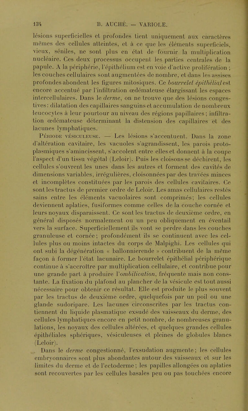 lesions siiperficioUcs cL profondes licnL iiniqueinenl aux caraclcres mOmcs dos cellules alLcinLes, el c\ ce que les elements superfieiels, vicux, seniles, ne sonL plus en 6laL dc fournir la mulLiplicalion nuclcairc. Ces deux processus occupenL les parlies centrales dc la papule. A la peripherie, repithelium est en voie d'activc proliferation ; les couches cellulaircs sont augment^es de nombre, et dans les assises profondes abondent les figures mitosiques. Ce hourrelet EpithelialQ9>i encore accentue par rinfdtration cedcmateusc 61argissant les espaces intercellulaires. Dans Ic derme, on ne trouve que des lesions conges- tives: dilatation des capillaires sanguins et accumulation dc nombreux leucocytes t\ leur pourlour au niveau des regions papillaires; infiltra- tion oedemateuse determinant la distension des capillaires et des lacunes lymphatiques. PiiRiODE VESicuLEUSE. — Lcs Icsious s'acccntuent. Dans la zone d'altcration cavitaire, les vacuoles s'agrandissent, les parois proto- plasmiques s'amincissent, s'accolent entre elleset donnent a la coupe I'aspect d'un tissu vegetal (Leloir). Puis les cloisonsse dechirent, les cellules s'ouvrent les unes dans les autres et forment des cavites de dimensions variables, irreguliferes, cloisonnees par des tra^-ees minces et incompletes constitutes par les parois des cellules cavitaires. Ce sont les tractus de premier ordre de Leloir. Les amas ccllulaires restes sains entre les elements vacuolaires sont comprimes; les cellules deviennent aplaties, fusiformes comme celles de la couche cornte et leursnoyaux disparaissent. Ce sont les tractus dc deuxieme ordre, en g6neral disposes normalement ou un peu obliquement en eventail vers la surface. Superficiellement ils vont se perdre dans les couches granuleuse et cornee; profond(^ment ils se continuent avec les cel- lules plus ou moins intacles du corps de Malpighi. Les cellules qui ont subi la degeneration « ballonnierende » contribuent de la meme fagon a former I'etat lacunaire. Le bourrelet epithelial periphtrique continue k s'accroitre par multiplication cellulaire, et contribue pour une grande part a produire Vombilication, frequente mais non cons- tante. La fixation du plafond au plancher de la vesicule est tout aussi ntcessaire pour obtenir ce resultat. Elle est produite le plus souvent par les tractus de deuxieme ordre, quelquefois par un poil ou une glande sudoripare. Les lacunes circonscrites par les tractus con- liennent du liquide plasmatique exsude des vaisseaux du derme, des cellules lymphatiques encore en petit nombre, de nombreuses granu- lations, les noyaux des cellules alt6rees, et quelques grandes cellules epithtliales sph6riques, v6siculeuses et pleines de globules blancs (Leloir). Dans le derme congestionn6, Fexsudation augmente; les cellules embryonnaires sont plus abondantes autour des vaisseaux et sur les limites du derme et de rectodcrme; les papilles allongees ou aplaties sont recouvertes par les cellules basales peu ou pas touchecs encore