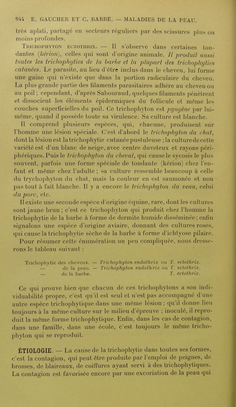 tres aplati, partage on secleurs r6guliers par des scissures plus ou moins profondes. Trichophyton ectotihux. — II s'observe dans eertaines lon- dantes {kerion), celles qui sont d'origine animale. // produit aussi toules les trichophyiies de la barbe el la plupart des trichophyties cutanees. Le parasite, au lieu d'etre inclus dans le cheveu, lui forme une gaine qui n'existe que dans la portion radiculaire du cheveu. La plusgrande partie des filaments parasitaires adhere au cheveu on au poil; cependant, d'apres Sabouraud, quelques filaments p6netrent et dissocient les elements epidermiques du follicule et meme les couches superficielles du poil. Ce trichophyton est pyog&ne par lui- meme, quand il possede toute sa virulence. Sa culture est blanche. II comprend plusieurs especes, qui, chacune, produisent sur rhomme une lesion speeiale. C'est d'abord le trichophyton du chat, dontla lesion est lalrichophytie cutaneepustuleuse ; la culturedecetle variete est d'un blanc de neige, avec centre duveteux et rayons peri- pheriques. Puis le trichophyton du cheval, qui causele sycosis le plus sou vent, parfois une forme speeiale de tondante (kerion) chez l'en- fant et meme chez l'adulte; sa culture ressemble beaucoup a celle du trychophyton du chat, mais la couleur en est saumonee et nou pas tout a fait blanche. II y a encore le trichophyton du veau, celui du pore, etc. II existe une seconde espece d'origine equine, rare, dont les cultures sont jaune brun ; c'est ce trichophyton qui produit chez l'homme la trichophytie de la barbe a forme de dermite humide disseminee; enlin signalons une espece d'origine aviaire, donnant des cultures rose-, qui cause la trichophytie sechede la barbe a forme d'iehtyose pilaire. Pour resumer cette enumeration un peu compliqiu^e, nous dresse- rons le tableau suivant : Trichophytie des cheveux. — Trichophyton, endolhrix ou 'J', eclolhrix. — de la peau. — Trichophyton enddthrix ou T. eclolhrix. — de la barbe. T. ectothrix. Ce qui prouve bicn que chacun de ces trichophytons a son indi- viduabilite propre, e'est qu'il est seul et n'est pas accompagne d une autre espece trichophytique dans une meme lesion; qu'il donne lieu toujours a la meme culture sur le milieu d epreuve ; inocule, il repro- duit la meme forme trichophytique. Enfin, dans les cas de contagion, dans une famille, dans une ecole, e'est toujours le meme tricho- phyton qui se reproduil. ETIOLOGIE. — La cause de la trichophytie dans toutes ses forme-, e'est la contagion, qui peut etre produite par 1'emploi de pcignes, de brosses, de blaireaux, de coiffures ayanl servi a des trichophytiques. La contagion est favorisec encore par une excoriation de la peau qui