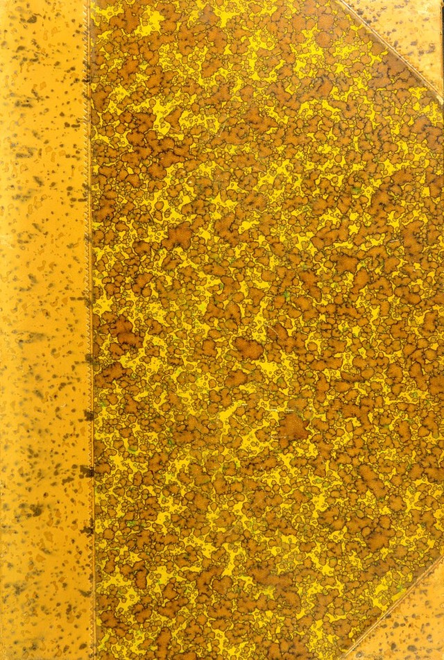 digitised image 1