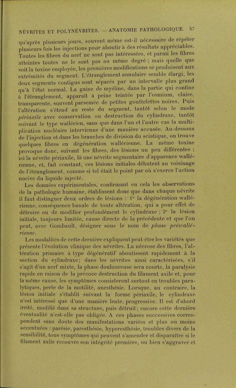 qu'apres plusicurs jours, souvenl mcme esL-il n^cessaire de rep6ter plusieurs Ibis les injections pour aboulir k des r6sullats appr6ciables. Toutes les fibres du nerf ne sonL pas interessees, el parmi les fibres alleintes toules ne Ic sont pas au m6me degre ; mais quelle que soil la toxine employee, les premieres modifications se produisent aux extr^mit^s du segment. L'6tranglement annulaire semble 61argi, les deux segments conligus sont separes par un intervalle plus grand qu'^ I'etat normal. La gaine de my^line, dans la parlie qui confine a r^tranglement, apparait k peine leinlee par I'osmium, claire, transparcnte, SQuvent parsemee de petites goutteletles noires. Puis I'altt^ration s'etend au reste du segment, tantdt selon le mode periaxile avec conservation ou destruction du cylindraxe, tant6t suivant le type wallerien, sans que dans I'un et I'autre cas la multi- plication nucleaire intervienne d'une maniere accus6e. Au-dessous de rinjection etdans les branches de division du sciatique, on trouve quelques fibres en degeneration wallerienne. La meme toxine provoque done, suivant les fibres, des lesions un peu diff6rentes : ici la nevrite periaxile, la une nevrite segmentaire d'apparence walle- rienne, et, fait constant, ces lesions initiales debutent au voisinage de Tetranglement, comme si tel etait le point par ou s'exerce Taction nocive du liquide injecte. Les donn6es experimentales, confirmant en cela les observations de la pathologic humaine, 6tabfissent done que dans chaque nevrite il faut distinguer deux ordres de lesions : 1° la degeneration walle- rienne, consequence banale de toute alteration, qui a pour effet de detruire ou de modifier profondement le cylindraxe ; 2° la lesion initiale, toujours hmit6e, cause directe de la precedente et que Ton pent, avec Gombault, designer sous le nom de phase prewalle- rienne. Les modalites de cette derniere expliquent peut-6tre les varietes que pr6sente revolution clinique des n6vrites. La necrose des fibres, I'al- teralion primaire type degeneratif aboutissent rapidement a la section du cylindraxe; dans les nevrites ainsi caracterisees, s'il s'agit d'un nerf mixte, la phase douloureuse sera courte, la paralysie rapide en raison de la precoce destruction du filament axile et, pour la mCme cause, les symptomes consisteront surtout en troubles para- lytiques, perte de la motility, anesth6sie. Lorsque, au contraire, la 16sion initiale s'etablit suivant la forme periaxile, le cylindraxe n'esl interesse que d'une maniere lente, progressive. II est d'abord irrite, modifie dans sa structure, puis delruit; encore cette derniere eventualite n'est-elle pas obligee. A ces phases successives corres- pondent sans doute des manifestations variees et plus ou moins accentuecs : paresie, paresthesie, hyperesthesie, troubles divers de la sensibilite, tons sympldmes qui peuvent s'amender et disparailre si le filament axile recouvrc son integritc premiere, ou bien s'aggraver et