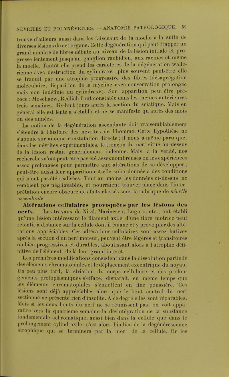 Irouve d'ailleurs aussi dans les faisceaux de la moello a la suite de diverses 16sions de cet organe. Cctlc degeneralion qui peut frapper un grand nombre de fibres ddbule au niveau de la lesion iniliale et pro- gresse lenlement jusqu au ganglion rachidien, aux racines el mfime la moelle. Tantdt elle prend les caracteres de la degeneration walle- rienne avec destruction du cylindraxe ; plus souvent peut-6tre elle se traduit par une atrophic progressive dcs fibres (desagregation mol^culaire, disparition de la myeline avec conservation prolongee mais non indefmie du cylindraxe). Son apparition peut 6tre pre- coce : Moschaew, Redlich Font constatce dans les racines anterieures trois semaines, dix-huit jours apres la section du sciatique. Mais en eeneral elle est lente k s'etablir et ne se raanifeste qu'apres des mois oil des annees. La notion de la degeneration ascendante doit vraisemblablement s'etendre a riiistoire des nevrites de rhomme. Cette hypothese ne s'appuie sur aucune constatation directe; il nous a meme paru que, dans les nevrites experimentales, le IronQon du nerf situe au-dessus de la lesion restait generalement indemne. Mais, a la verite, nos recherchesn'ontpeut-etre pas ete asseznombreuses ou les experiences assez prolong6es pour permettre aux alterations de se developper; pent-etre aussi leur apparition est-elle subordonnee a des conditions qui n'ont pas ete realisees. Tout au moins les donnees ci-dessus ne semblent pas negligeables, et pourraient trouver place dans I'inter- pr6talion encore obscure des faits classes sous la rubrique de neurite ascendante. Alterations cellulaires provoquees par les lesions des nerfs. — Les travaux de Nissl, Marinesco, Lugaro, etc., ont 6tabli qu'une lesion int6ressant le filament axile d'une fibre motrice peut retentir k distance sur la cellule dont il emane et y provoquer des alte- rations appr^ciables. Ces alterations cellulaires sont assez hatives apres la .section d'un nerf moteur, peuvent etre legeres et tjansitoires ou bien progressives et durables, aboutissant alors a I'atrophie defi- nitive del'element; de la leur grand interfit. Les premieres modifications consistent dans la dissolution partieile des elements chromatophiles et le deplacement excentriquc du noyau. Un peu plus tard, la striation du corps cellulaire et des prolon- gements protoplasmiques s'efTace, disparait, en meme temps que les elements chromatophiles s'^miettent en fine poussiere. Ces lesions sont deja appreciates alors que le bout central du nerf seclionne ne presente rien d'insolite. A cedegre elles sont reparablcs. Mais si les deux bouts du nerf ne se reunissent pas, on voit appa- rallre vers la quatriemc somainc la desintegration de la substance londamentale achromatique, aussi bien dans la cellule que dans lo prolongement cylindraxile; c'est alors I'indice de la degeneresccnce atrophique qui so terminera par la mort de la cellule. Or les