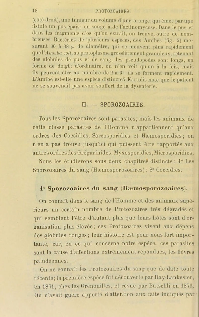 (côté droit),une tumeur du volume d'une orange, qui émet par une fistule un pus épais; on songe à de l'actinomycose. Dans le pus et dans les fragments d’os qu’on extrait, on trouve, outre de nom- breuses Bactéries de plusieurs espèces, des Amibes (fig. 2) me- surant 30 à 38 p. de diamètre, qui se meuvent plus rapidement quel’Amœ&a edi, au protoplasme grossièrement granuleux, retenant des globules de pus et de sang ; les pseudopodes sont longs, en forme de doigt; d’ordinaire, on n’en voit qu’un à la fois, mais iis peuvent être au nombre de 2 à 3 : ils se forment rapidement. L’Amibe est-elle une espèce distincte? Kartulis note que le patient ne se souvenait pas avoir'souffert de la dysenterie. II. — SPOROZOAIRES. Tous les Sporozoaires sont parasites, mais les animaux de cette classe parasites de l’Homme n’appartiennent qu’aux ordres des Coccidies, Sarcosporidies et llæmosporidies ; on n’en a pas trouvé jusqu’ici qui puissent être rapportés aux autres ordres des Grégarinides, Myxosporidies, Microsporidies. Nous les étudierons sous deux chapitres distincts : 1° Les Sporozoaires du sang (Hæmosporozoaires) ; 2° Coccidies. 1° Sporozoaires du sang- (Hæmosporozoaires). On connaît dans le sang de l’Homme et des animaux supé- rieurs un certain nombre de Protozoaires très dégradés et qui semblent l’être d’autant plus que leurs hôtes sont d’or- ganisation plus élevée; ces Protozoaires vivent aüx dépens des globules rouges; leur histoire est pour nous fort impor- tante, car, en ce qui concerne notre espèce, ce3 parasites sont la cause d’affections extrêmement répandues, les fièvres paludéennes. On ne connaît les Protozoaires du sang que de date toute récente; la première espèce fut découverte par Ray-LanLester, en 1871, chez les Grenouilles, et revue par Bülschli en 1870. On n’avait guère apporté d’attefation aux faits indiqués par