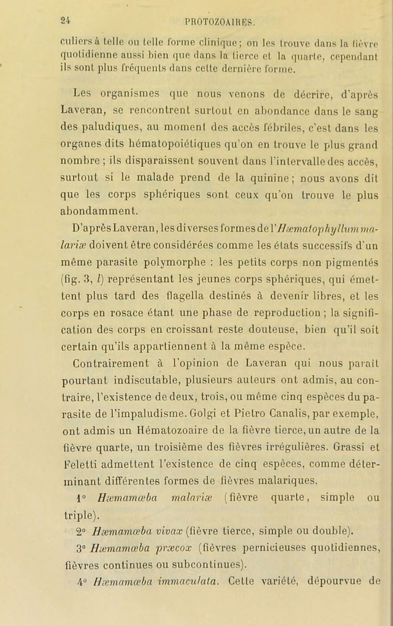 eu Hors à telle ou telle forme clinique; on les trouve dans la lièvre quotidienne aussi bien que dans la tierce et la quarte, cependant ils sont plus fréquents dans cette dernière forme. Les organismes que nous venons de décrire, d'après Laveran, se rencontrent surtout en abondance dans le sang des paludiques, au momenl des accès fébriles, c'est dans les organes dits hématopoiétiques qu’on en trouve le plus grand nombre ; ils disparaissent souvent dans l'intervalle des accès, surtout si le malade prend de la quinine; nous avons dit que les corps sphériques sont ceux qu'on trouve le plus abondamment. D’après Laveran, les diverses formes de YHæmatophyllum ma- lariæ doivent être considérées comme les états successifs d'un même parasite polymorphe : les petits corps non pigmentés (fig. 3, l) représentant les jeunes corps sphériques, qui émet- tent plus tard des flagella destinés à devenir libres, et les corps en rosace étant une phase de reproduction ; la signifi- cation des corps en croissant reste douteuse, bien qu’il soit certain qu’ils appartiennent à la même espèce. Contrairement à l’opinion de Laveran qui nous parait pourtant indiscutable, plusieurs auteurs ont admis, au con- traire, l’existence de deux, trois, ou même cinq espèces du pa- rasite de l’impaludisme. Golgi et Pietro Canalis, par exemple, ont admis un Hématozoaire de la fièvre tierce,un autre de la fièvre quarte, un troisième des fièvres irrégulières. Grassi et Feletti admettent l’existence de cinq espèces, comme déter- minant différentes formes de fièvres malariques. 1° Hæmamœba malariæ (fièvre quarte, simple ou triple). 2° Hæmamœba vivax (fièvre tierce, simple ou double). 3° Hæmamœba prœcox (fièvres pernicieuses quotidiennes, fièvres continues ou subcontinues). 4° Hæmamœba immaculala. Cetle variété, dépourvue de