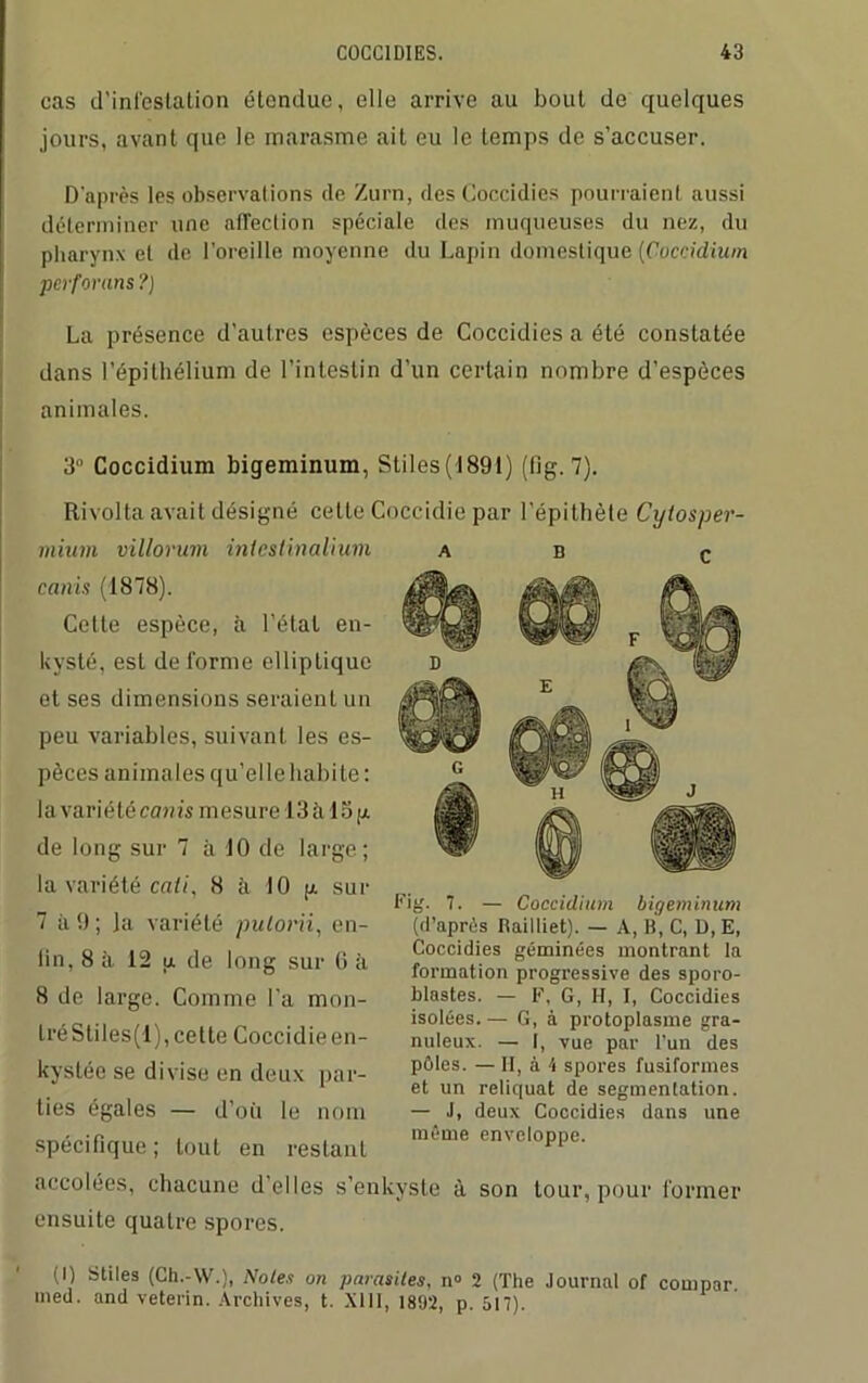 cas d'infestation étendue, elle arrive au bout de quelques jours, avant que le marasme ait eu le temps de s’accuser. D’après les observations de Zurn, des Coccidies pourraient aussi déterminer une affection spéciale des muqueuses du nez, du pharynx et de l’oreille moyenne du Lapin domestique (Coccidium pcrforans?) La présence d’autres espèces de Coccidies a été constatée dans l’épithélium de l’intestin d’un certain nombre d’espèces animales. 3 Coccidium bigeminum, Stiles(1891) (fig. 7). Rivolta avait désigné cette Coccidie par l’épithète Cylosper- mium villorum intestimlium canis (1878). Cette espèce, à l’étal en- kysté, est de forme elliptique et ses dimensions seraient un peu variables, suivant les es- pèces animales qu’elle habite: la variété canis mesure 13 à 15g de long sur 7 à 10 de large; la variété cciti, 8 à 10 g sur 7 à 0 ; )a variété pulorii, en- lin, 8 à 12 g de long sur 6 à 8 de large. Comme l’a mon- tré Stiles(l), cette Coccidie en- kystée se divise en deux par- ties égales — d’où le nom spécifique ; tout en restant accolées, chacune déliés s’enkyste à son tour, pour former ensuite quatre spores. (I) Stiles (Ch.-W.), Noies on parasites, n° 2 (The Journal of conipar. med. and veterin. Archives, t. XIII, 1892, p. 517). AB c Fig. 7. — Coccidium bigeminum (d’après Railliet). — A, B, C, D, E, Coccidies géminées montrant la formation progressive des sporo- blastes. — F, G, H, I, Coccidies isolées. — G, à protoplasme gra- nuleux. — I, vue par l’un des pôles. — II, à 4 spores fusiformes et un reliquat de segmentation. — J, deux Coccidies dans une môme enveloppe.