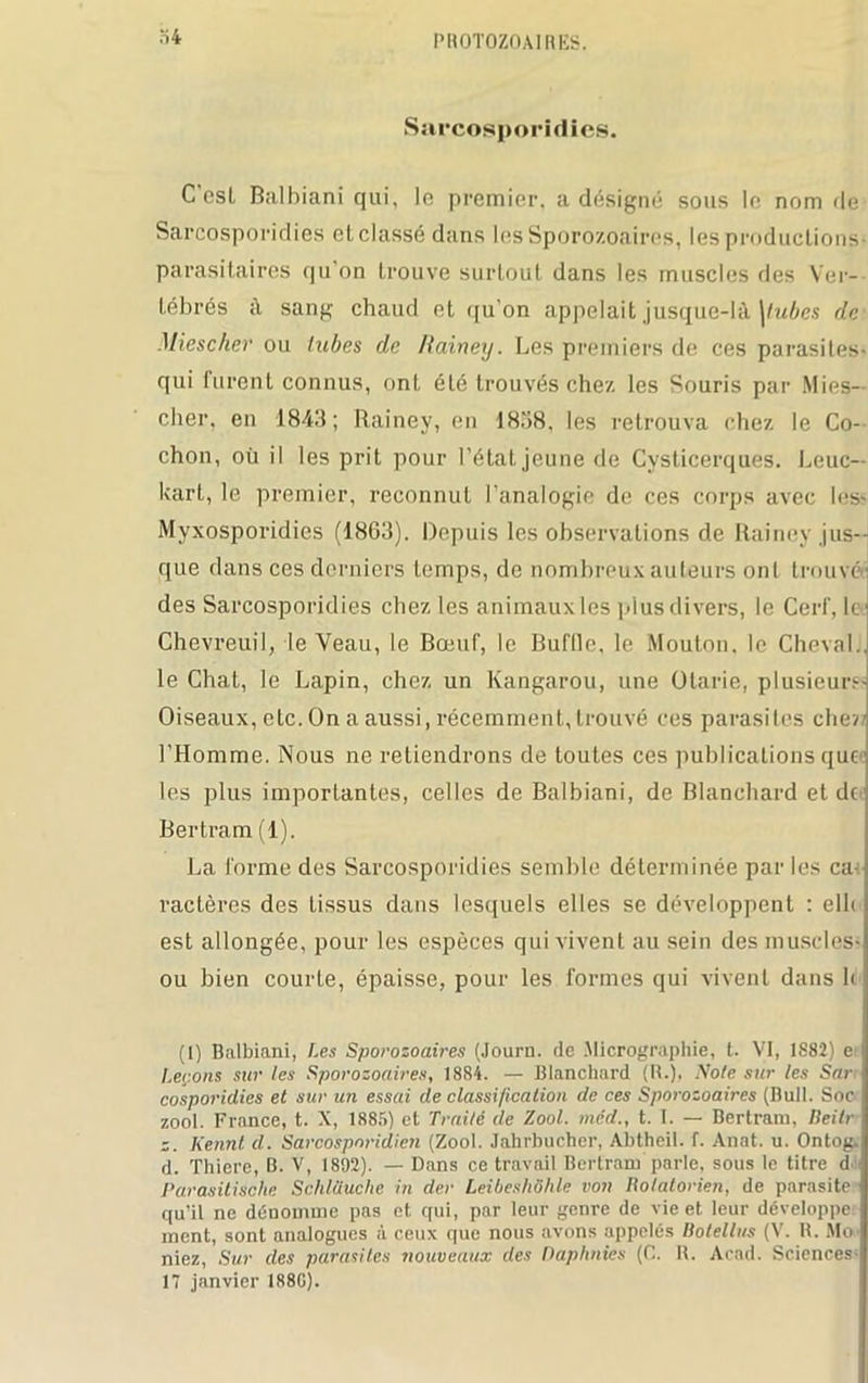 •ï4 Sarcosporidies. C esl Balbiani qui, le premier, a désigné sous le nom fie Sarcosporidies et classé dans les Sporozoaires, lesproductions- parasitaires qu on trouve surtout dans les muscles des Ver- tébrés à sang chaud et qu'on appelait jusque-là \lubes de Miescher ou tubes de Rainey. Les premiers de ces parasites- qui furent connus, ont été trouvés chez les Souris par Mies- cher, en 1843; Rainey, en 1838, les retrouva chez le Co- chon, où il les prit pour l’état jeune de Cysticerques. Leuc— kart, le premier, reconnut l’analogie de ces corps avec les- Myxosporidies (1803). Depuis les observations de Rainey jus- que dans ces derniers temps, de nombreux auteurs ont trouvé' des Sarcosporidies chez les animaux les plus divers, le Cerf, le Chevreuil, le Veau, le Bœuf, le Bufllc, le Mouton, le Cheval, le Chat, le Lapin, chez un Kangarou, une Otarie, plusieurs- Oiseaux, etc. On a aussi, récemment, trouvé ces parasites chez/ l’Homme. Nous ne retiendrons de toutes ces publications que les plus importantes, celles de Balbiani, de Blanchard et de Bertram (1). La forme des Sarcosporidies semble déterminée par les ca ractères des tissus dans lesquels elles se développent : elh est allongée, pour les espèces qui vivent au sein des muscles* ou bien courte, épaisse, pour les formes qui vivent dans h (1) Balbiani, Les Sporozoaires (Journ. de Micrographie, t. VI, 1882) e Leçons sur les Sporozoaires, 1884. — Blanchard (U.), Noie sur les Sar cosporidies et sur un essai de classification de ces Sporozoaires (Bull. Soc zool. France, t. X, 1885) et Traité de Zool. mcd., t. I. — Bertram, Deitr z. Kennt d. Sarcosporidicn (Zool. Jahrbucher, Abtheil. f. Anat. u. Ontog. d. Thiere, B. V, 1892). — Dans ce travail Bertram parle, sous le titre d- Parasitische Schlüuche in der Leibeshôhle von Itolatorien, de parasite qu’il ne dénomme pas et qui, par leur genre de vie et leur développe ment, sont analogues à ceux que nous avons appelés Bolellus (V. R. Mo niez, Sur des parasites nouveaux des Daphnies (C. R. Acad. Sciences 17 janvier 188G).