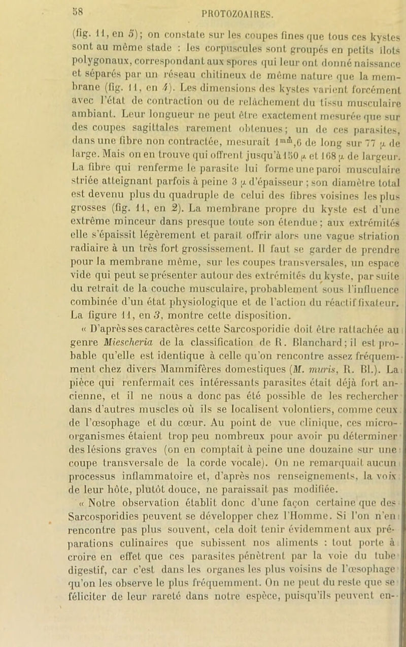 (lig. U, en o); on constale sur les coupes fines que lous ces kystes sont au même stade : les corpuscules sont groupés en petits ilôts polygonaux, correspondant aux spores qui leur ont donné naissance et séparés par un réseau chitineux de même nature que la mem- brane (fig. 11, en -f). Les dimensions des kystes varient forcément avec l’étal de contraction ou de relâchement du tissu musculaire ambiant. Leur longueur ne peut être exactement mesurée que sur des coupes sagittales rarement obtenues; un de ces parasites, dans une fibre non contractée, mesurait lm&,0 de long sur 77 ;a de large. Mais on en trouve qui offrent jusqu a 150 p et 108 •>. de largeur. La fibre qui renferme le parasite lui forme une paroi musculaire striée atteignant parfois à peine 3 ;j. d’épaisseur ; son diamètre total est devenu plus du quadruple de celui des fibres voisines les plus grosses (fig. 11, en 2). La membrane propre du kyste est d’une extrême minceur dans presque toute son étendue; aux extrémités elle s’épaissit légèrement et parait offrir alors une vague striation radiaire à un très fort grossissement. Il faut se garder de prendre pour la membrane même, sur les coupes transversales, un espace vide qui peut se présenter autour des extrémités du kyste, par suite du retrait de la couche musculaire, probablement sous l’influence combinée d’un état physiologique et de l’action du réactif fixateur. La figure 11, en 3, montre cette disposition. « D’après ses caractères cette Sarcosporidie doit être rattachée au genre Miescheria delà classification de R. Blanchard; il est pro- bable qu’elle est identique à celle qu’on rencontre assez fréquem- ment chez divers Mammifères domestiques (M. mûris, R. Bl.). La pièce qui renfermait ces intéressants parasites était déjà fort an- cienne, et il ne nous a donc pas été possible de les rechercher dans d’autres muscles où ils se localisent volontiers, comme ceux de l’œsophage et du cœur. Au point de vue clinique, ces micro- organismes étaient trop peu nombreux pour avoir pu déterminer des lésions graves (on en comptait à peine une douzaine sur une coupe transversale de la corde vocale). On ne remarquait aucun processus inflammatoire et, d’après nos renseignements, la voix de leur hôte, plutôt douce, ne paraissait pas modifiée. «Notre observation établit donc d’une façon certaine que des Sarcosporidies peuvent se développer chez l’Homme. Si l’on n'en rencontre pas plus souvent, cela doit tenir évidemment aux pré- parations culinaires que subissent nos aliments : tout porte à i croire en effet que ces parasites pénètrent par la voie du tube digestif, car c’est dans les organes les plus voisins de l’œsopbage qu’on les observe le plus fréquemment. On ne lient du reste que se féliciter de leur rareté dans notre espèce, puisqu’ils peuvent en-